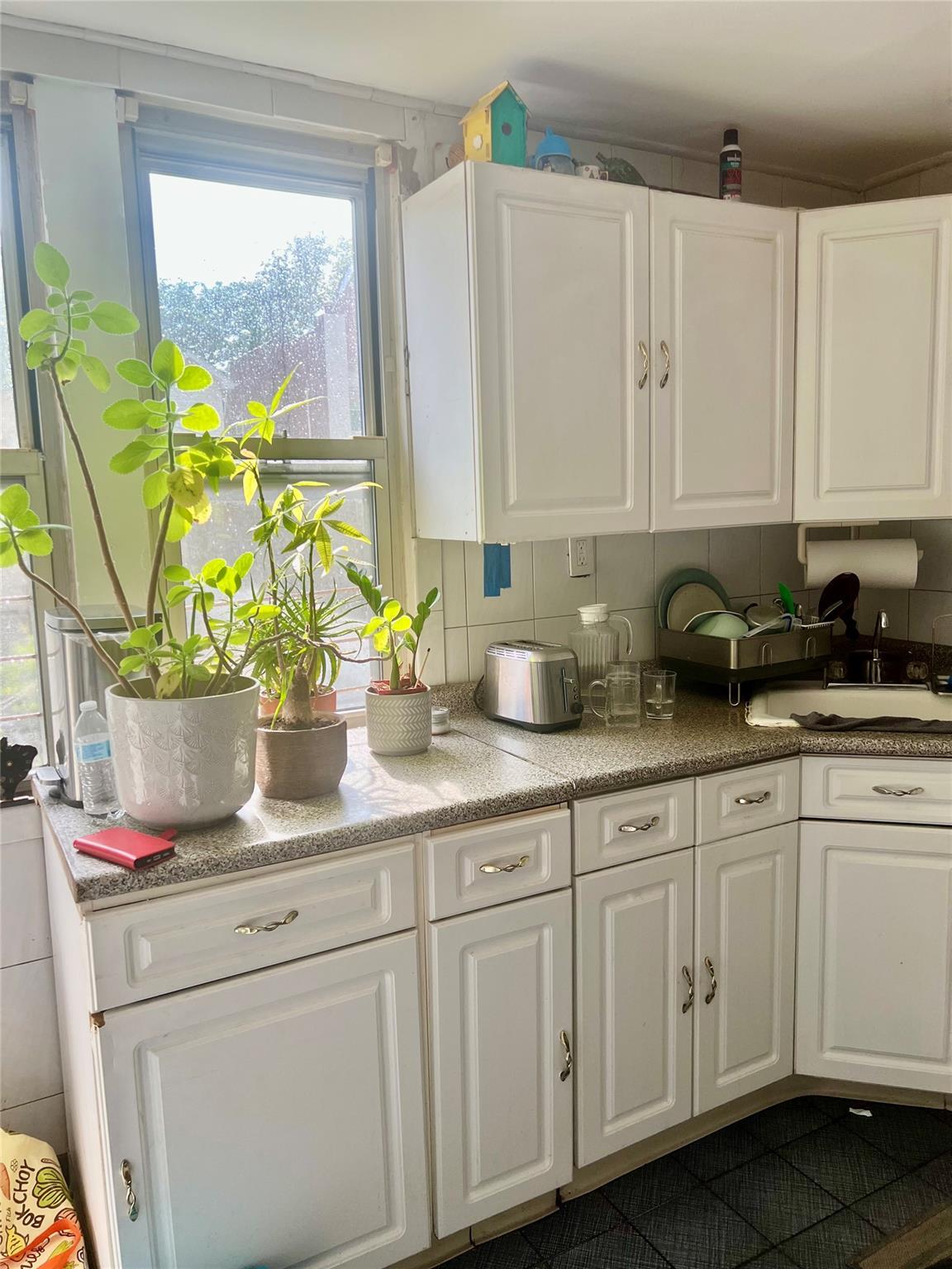 Single Family 74  Queens, NY 11370, MLS-872838-8