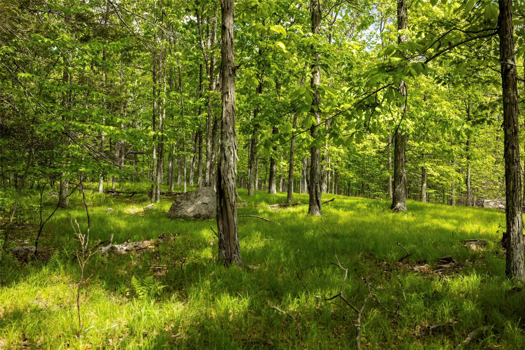 Single Family Forest Camp  Ulster County, NY 12489, MLS-873029-10