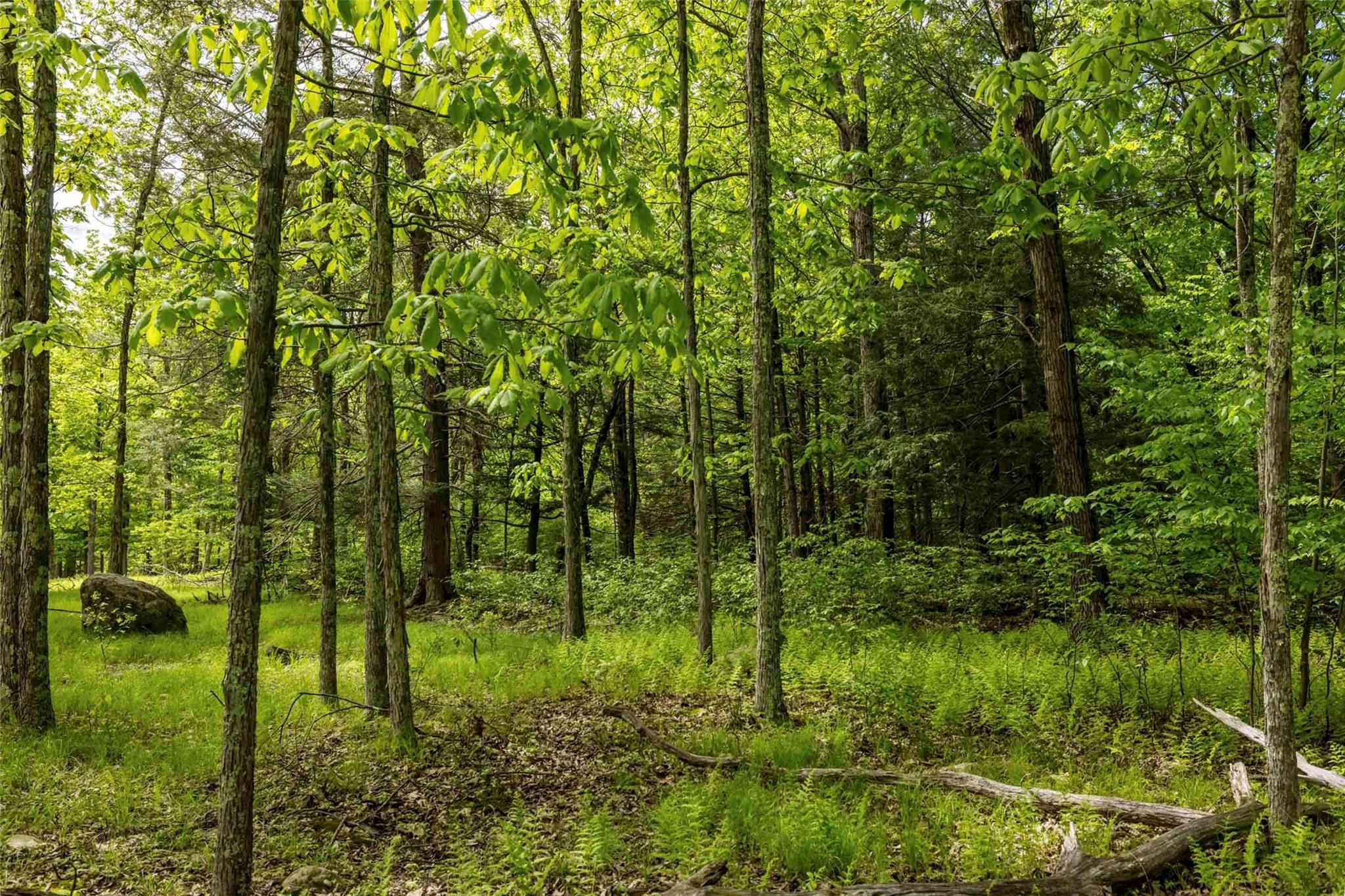 Single Family Forest Camp  Ulster County, NY 12489, MLS-873029-11