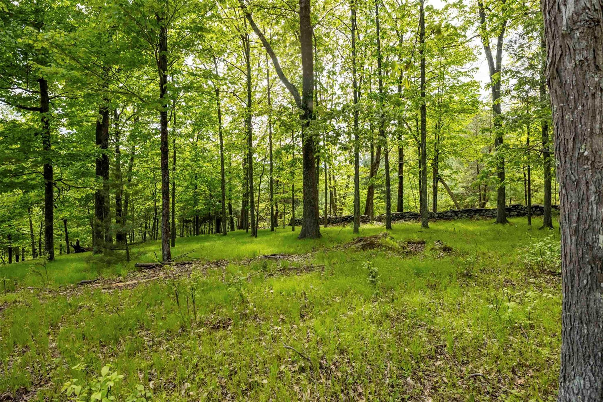 Single Family Forest Camp  Ulster County, NY 12489, MLS-873029-13