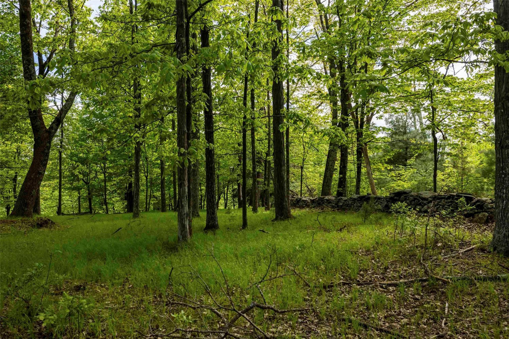 Single Family Forest Camp  Ulster County, NY 12489, MLS-873029-14