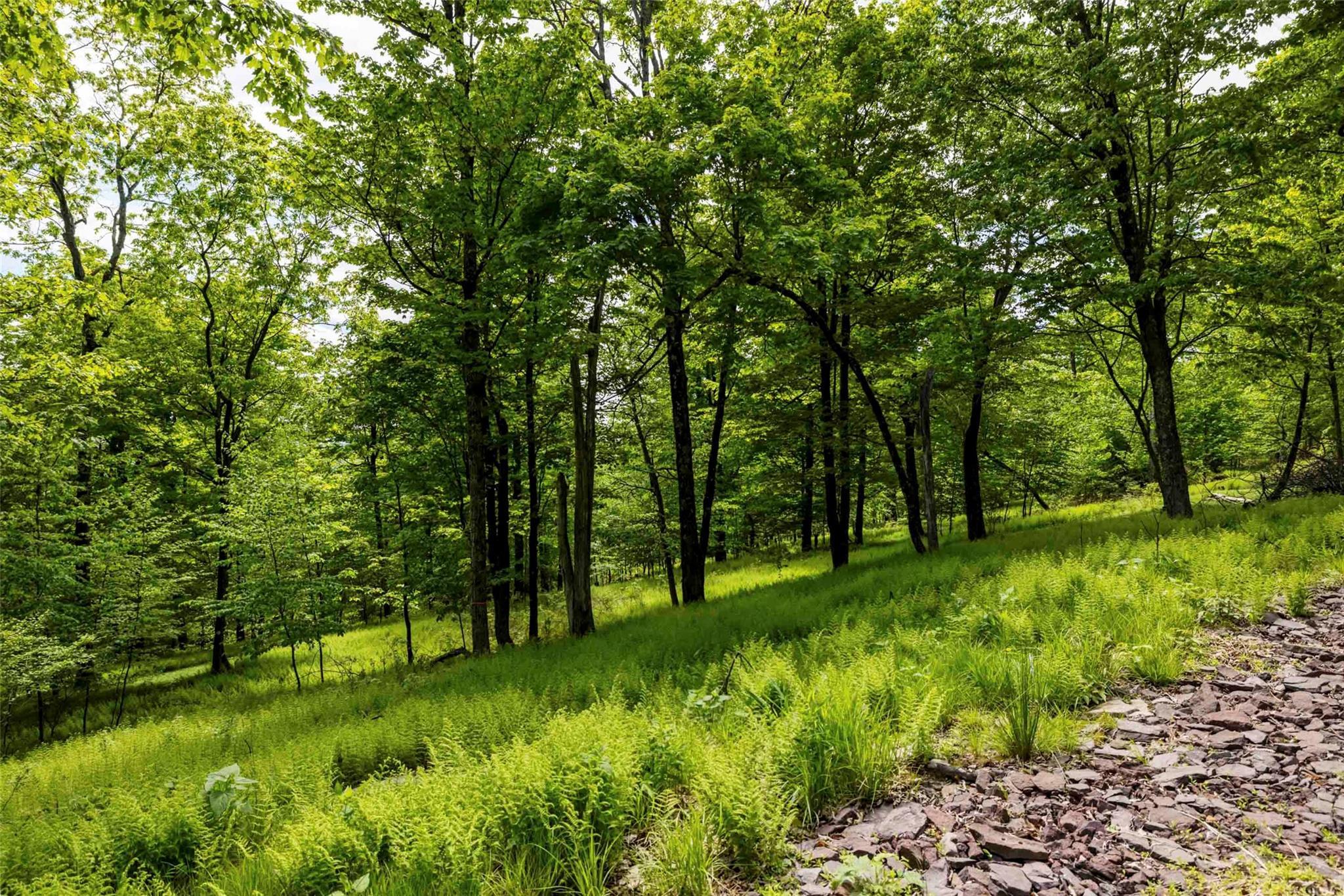 Single Family Forest Camp  Ulster County, NY 12489, MLS-873029-8