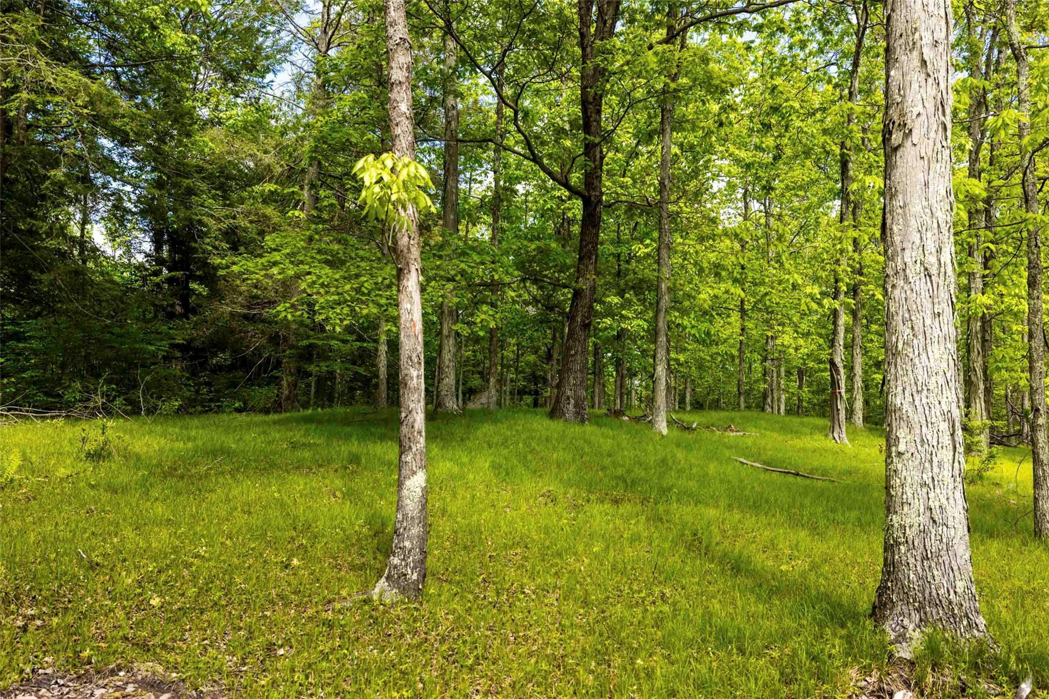 Single Family Forest Camp  Ulster County, NY 12489, MLS-873029-9