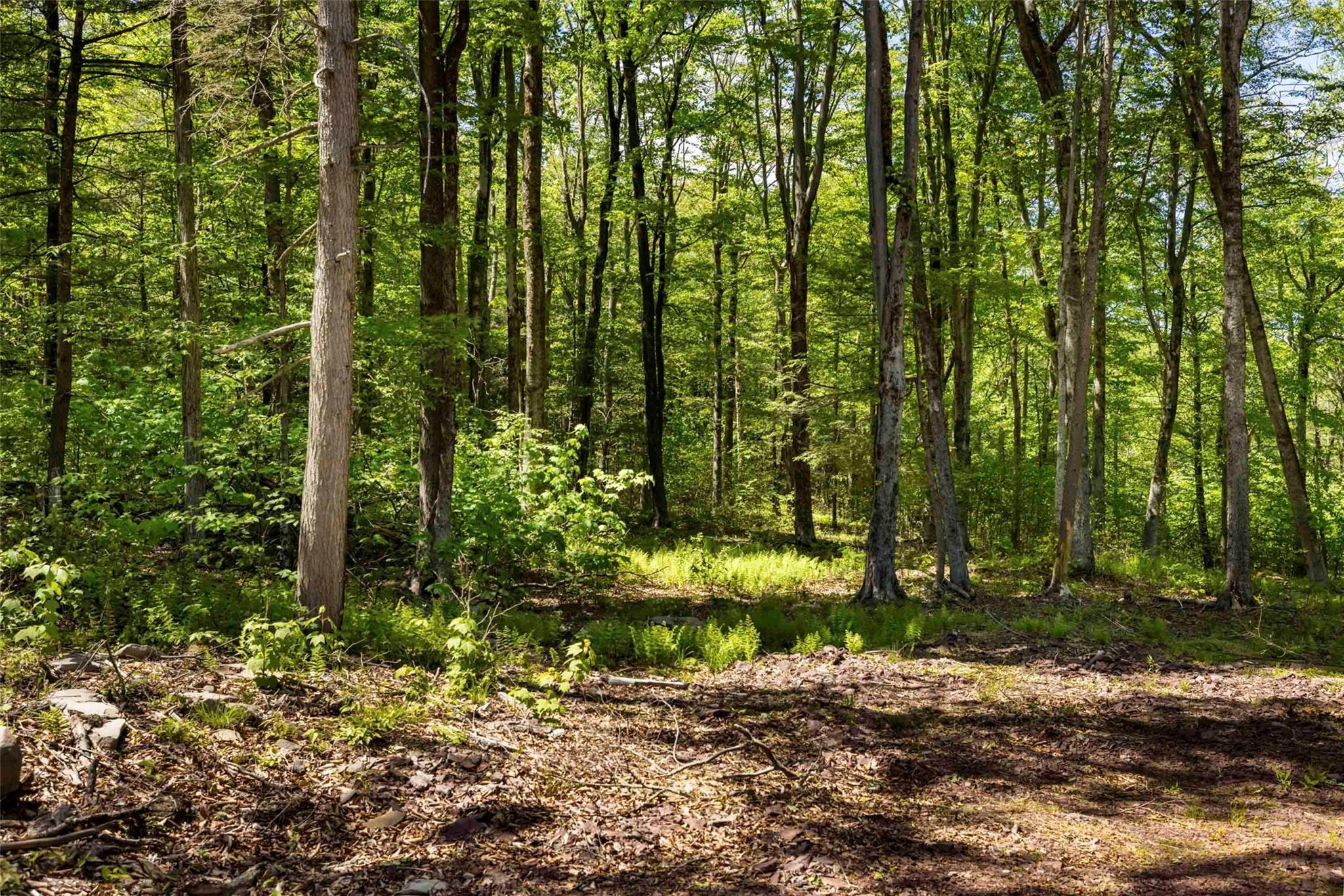 Single Family Red Rock  Ulster County, NY 12489, MLS-873040-10