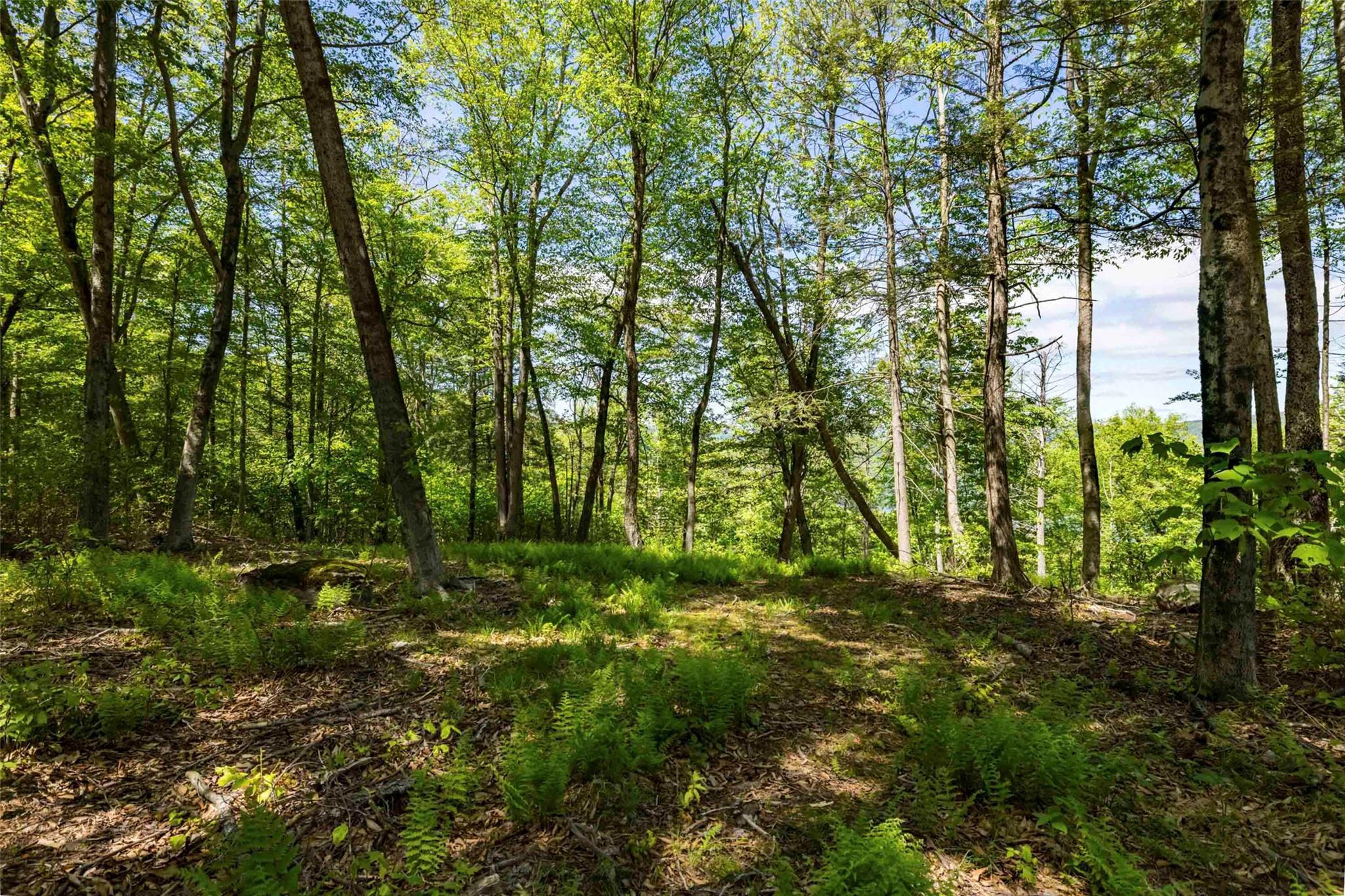 Single Family Red Rock  Ulster County, NY 12489, MLS-873040-11