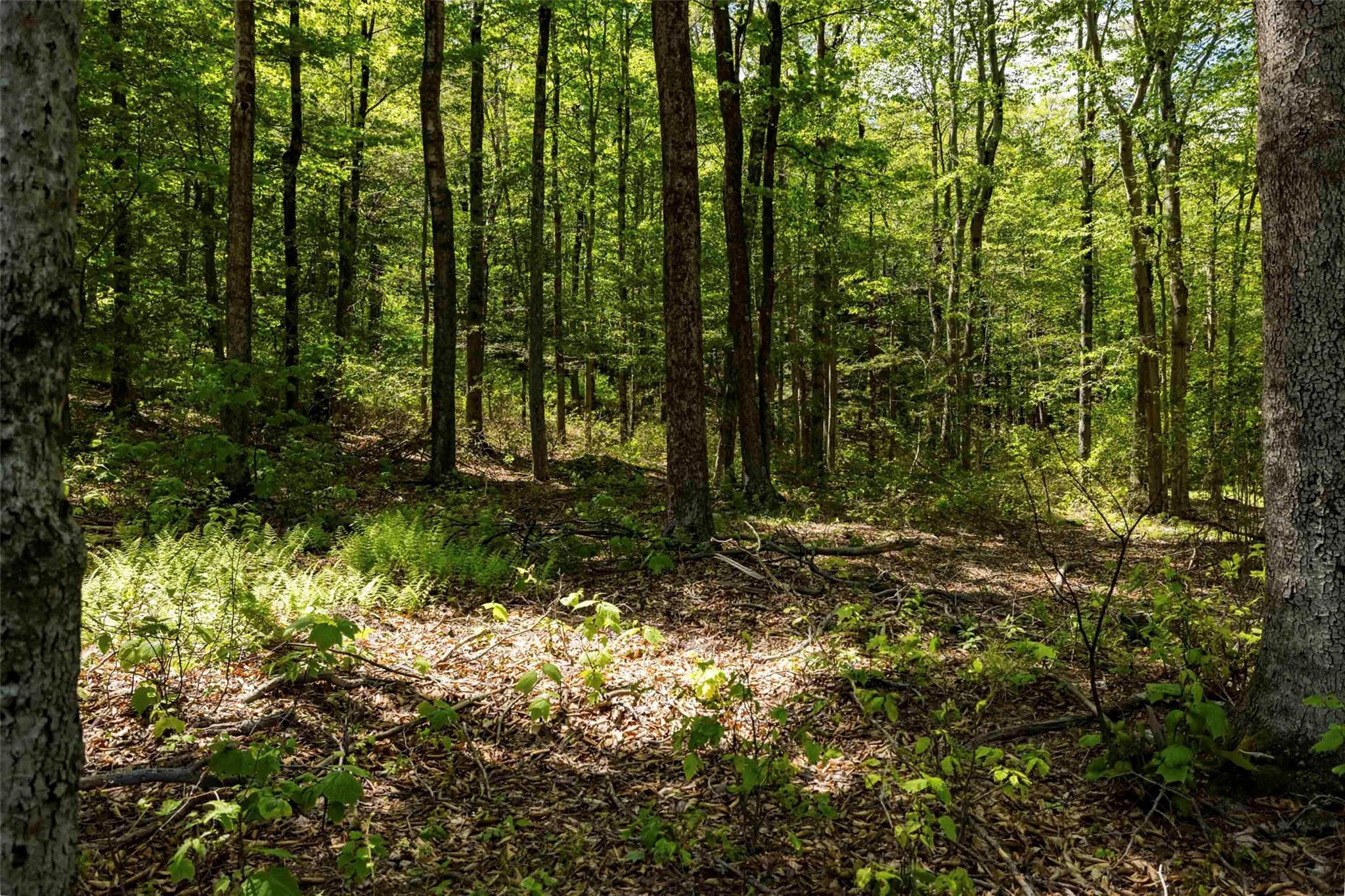 Single Family Red Rock  Ulster County, NY 12489, MLS-873040-12