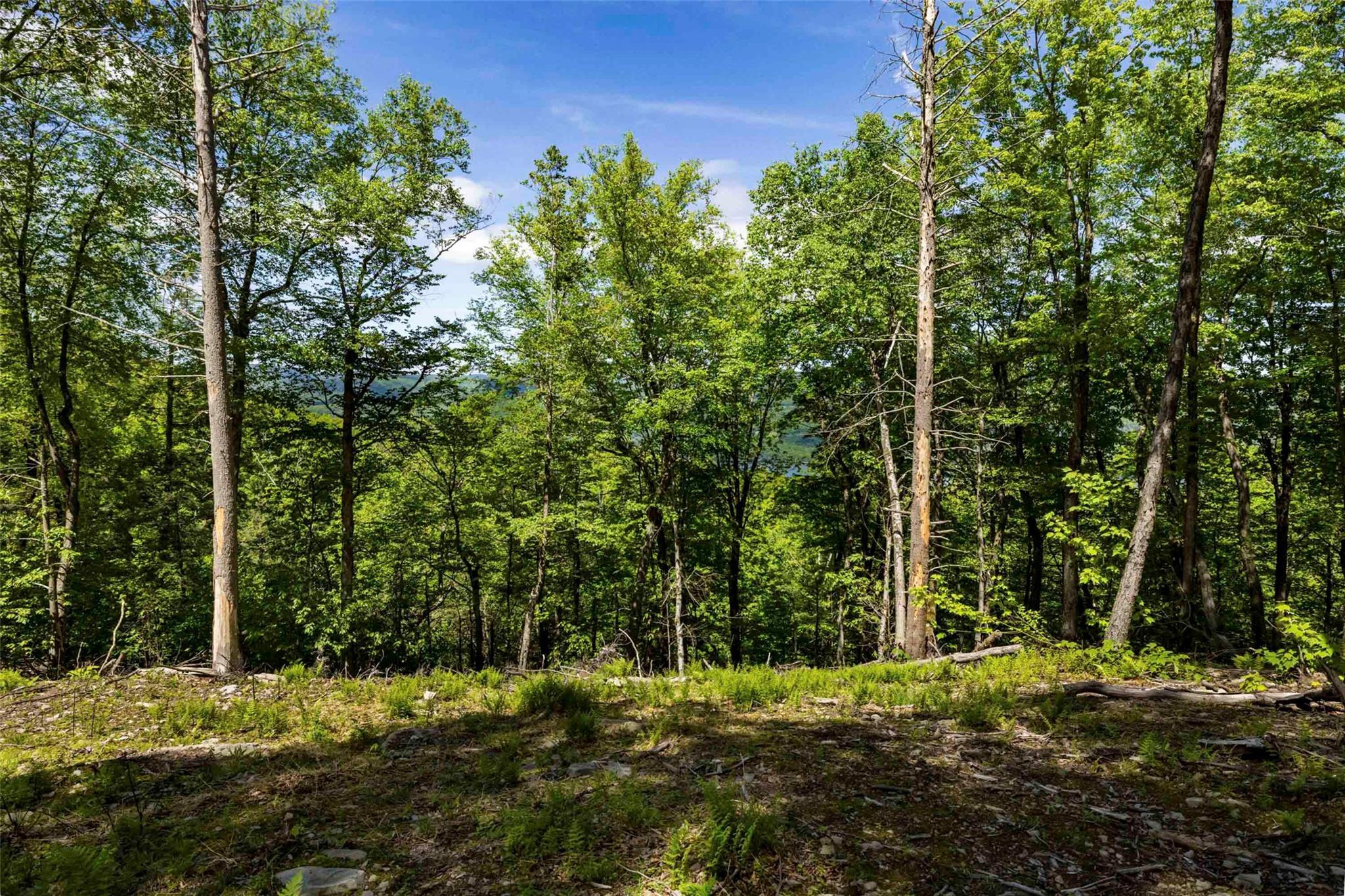 Single Family Red Rock  Ulster County, NY 12489, MLS-873040-13