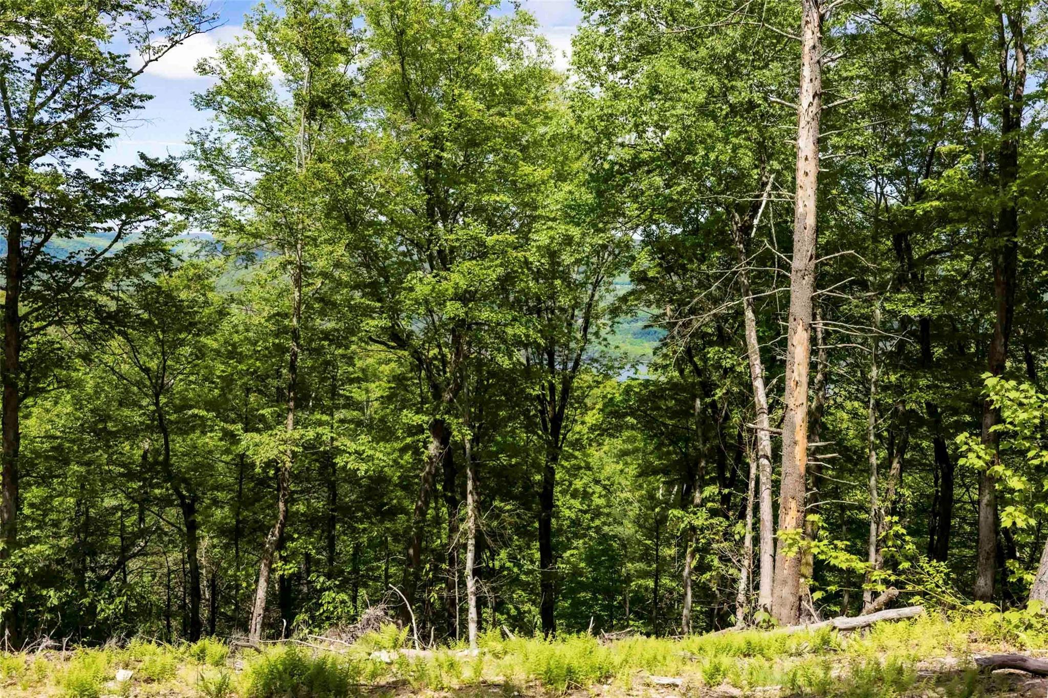 Single Family Red Rock  Ulster County, NY 12489, MLS-873040-14
