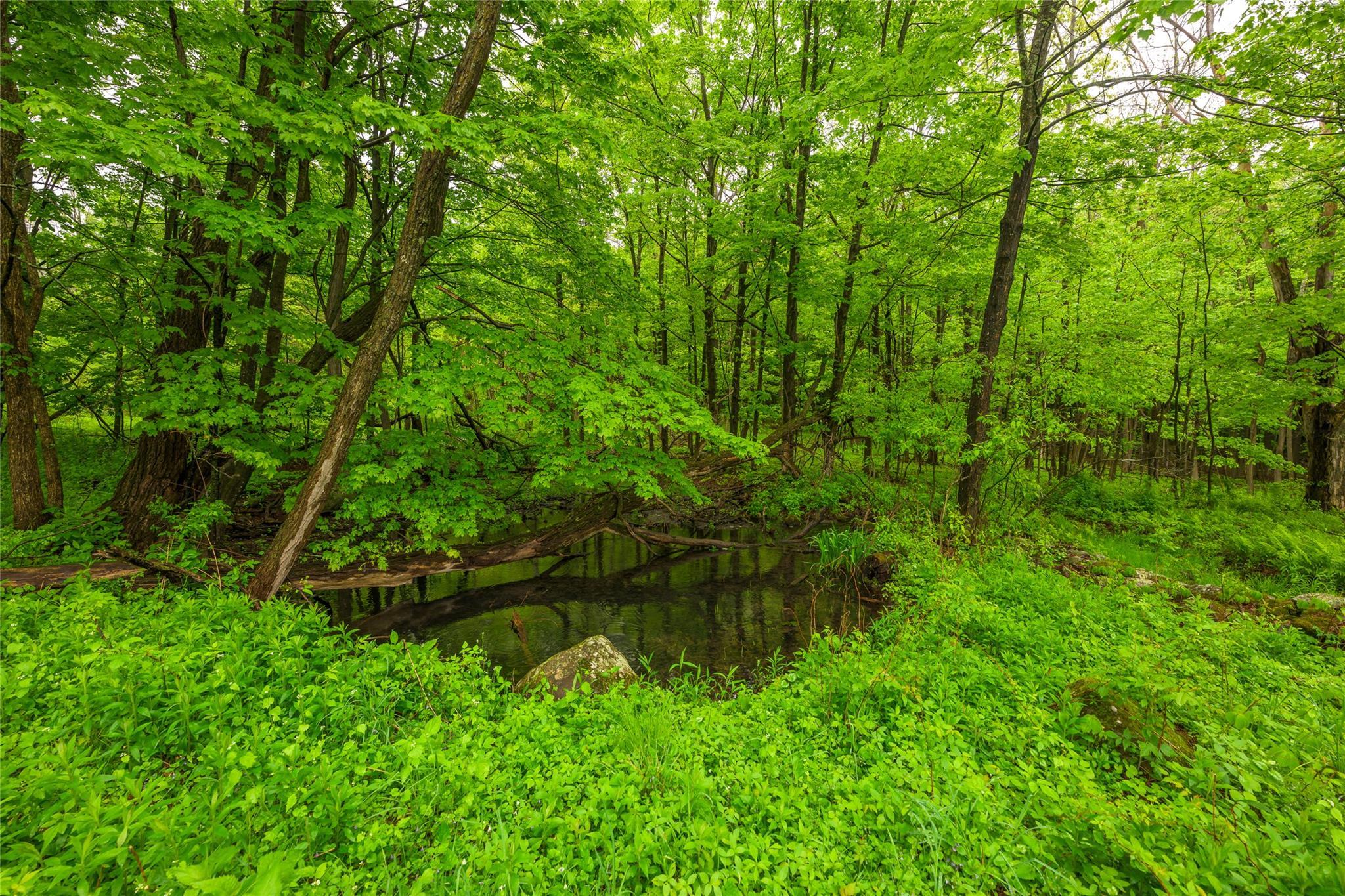 Single Family County Route 351  Albany County, NY 12471, MLS-873203-25