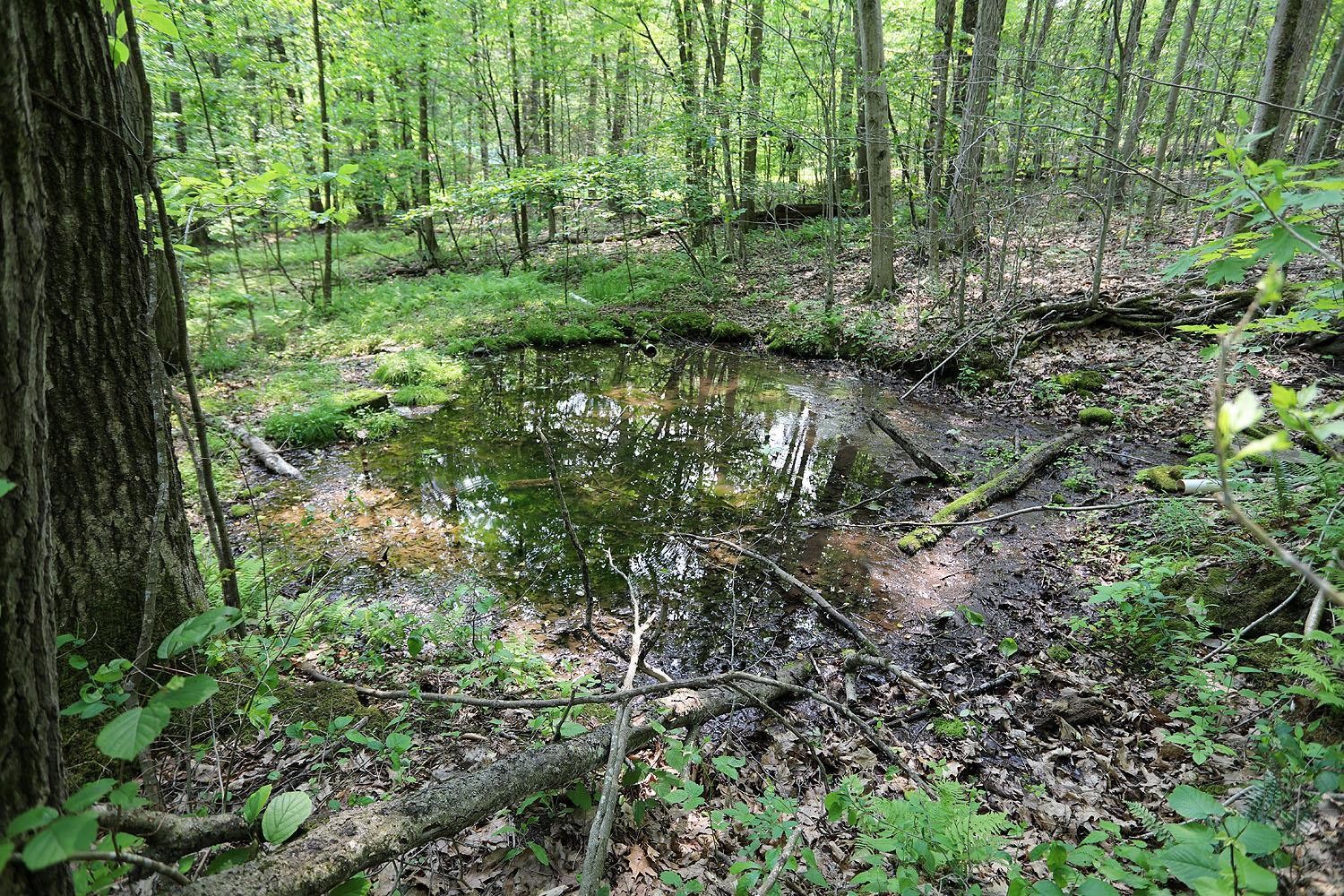 Single Family Acid Factory  Delaware County, NY 13783, MLS-873324-14