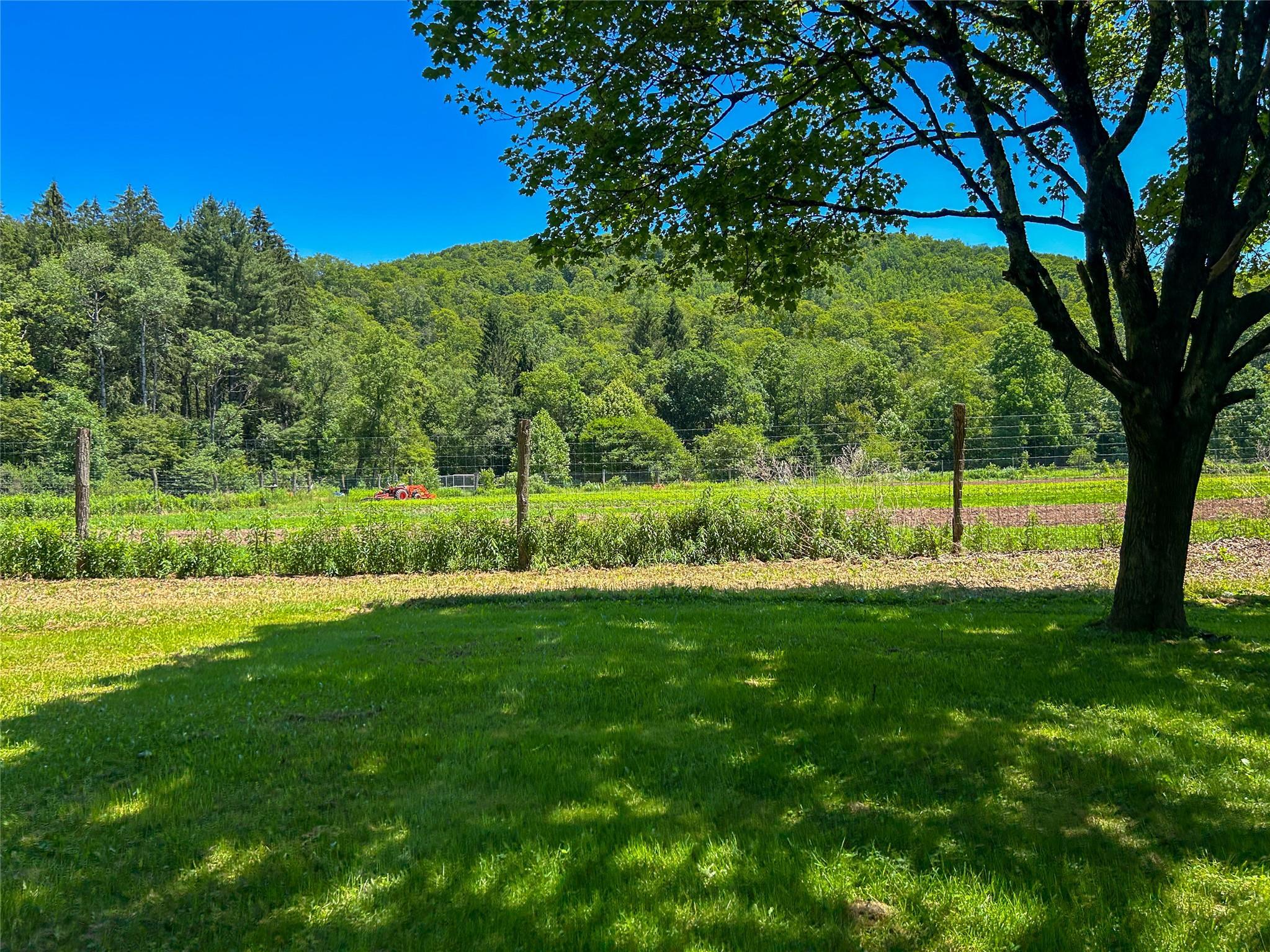 Single Family Johnston  Sullivan County, NY 12758, MLS-873367-39