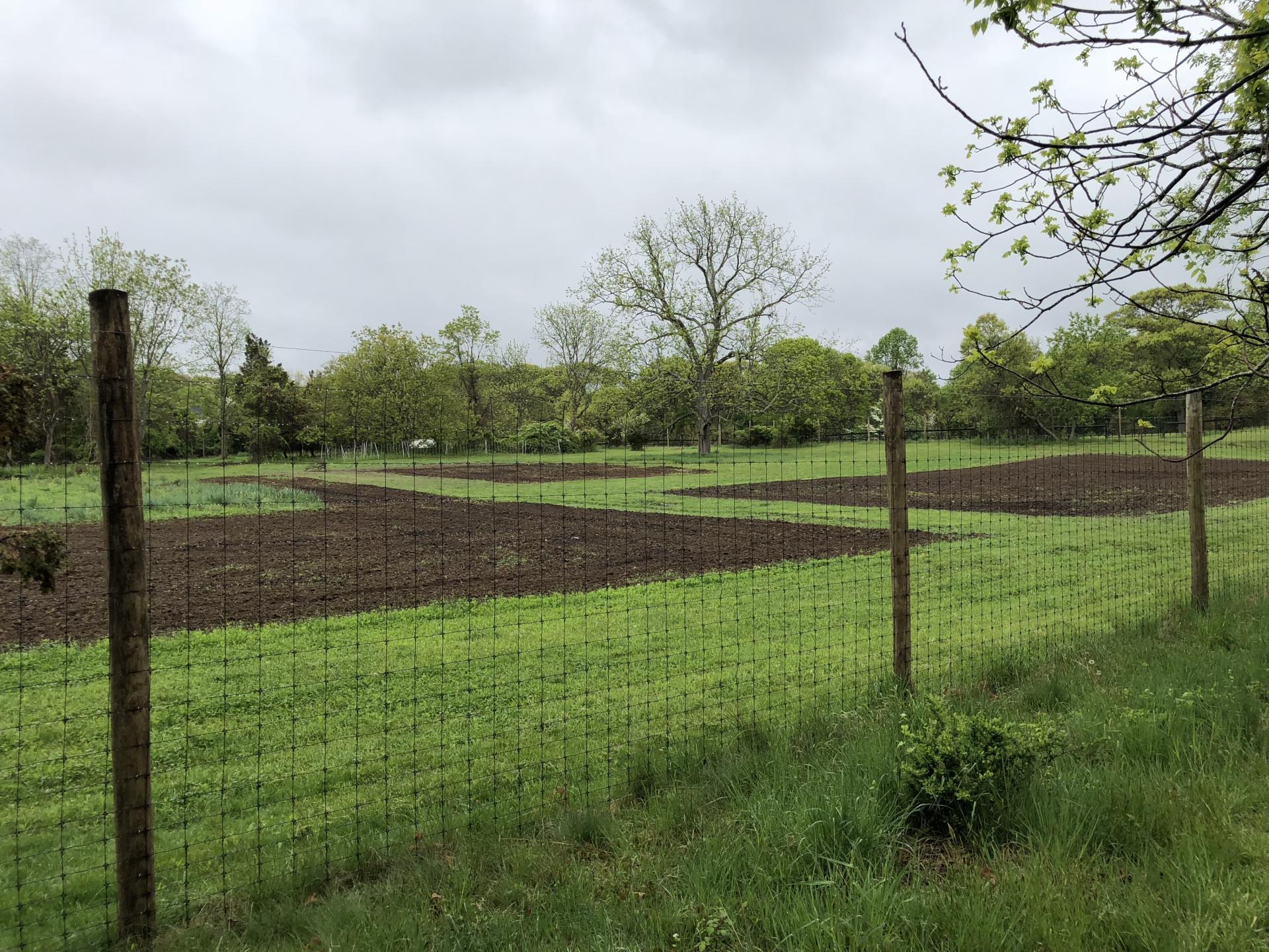 Single Family Landing Meadow  Suffolk County, NY 11787, MLS-873824-13