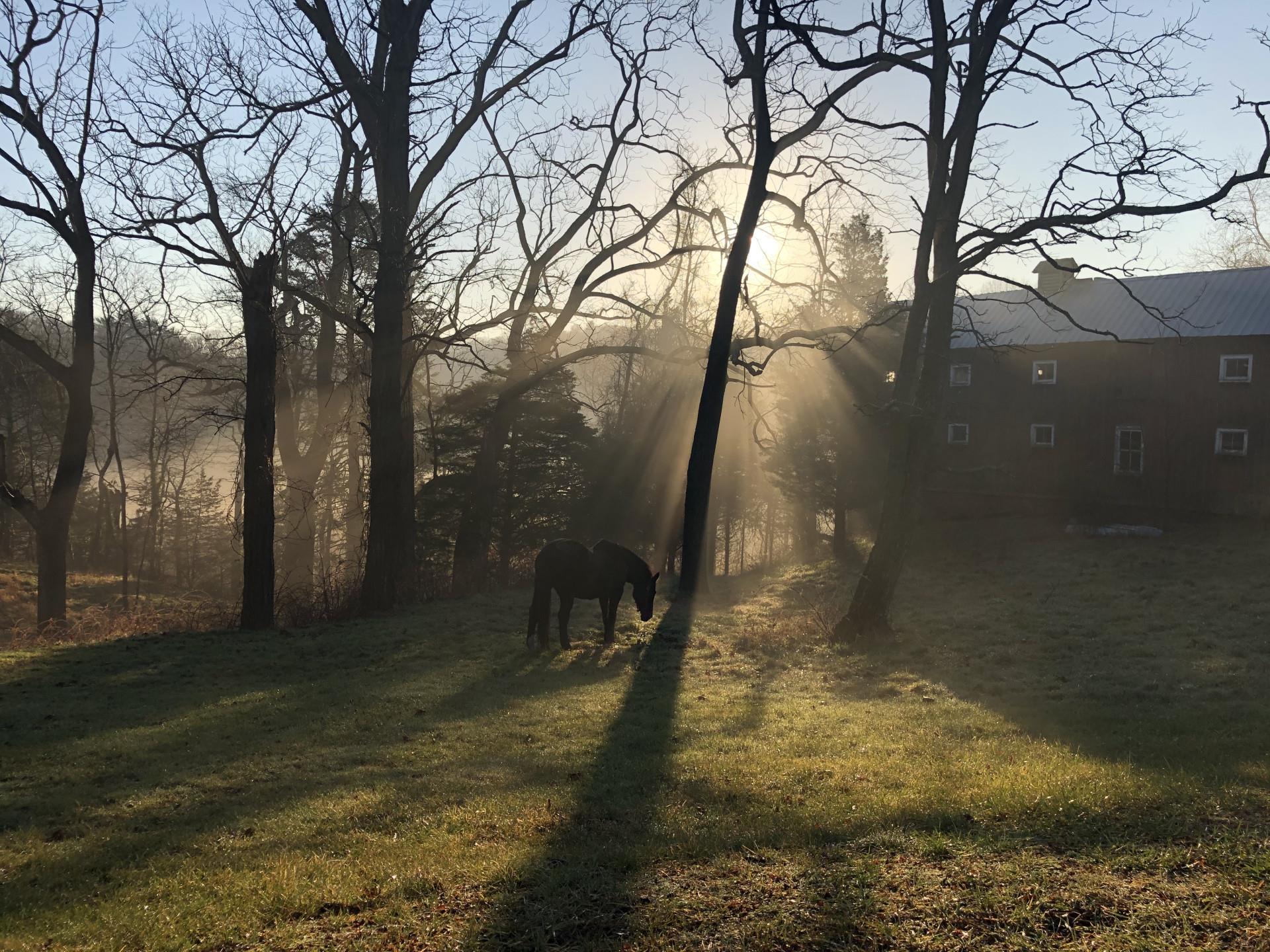 Single Family Landing Meadow  Suffolk County, NY 11787, MLS-873824-2