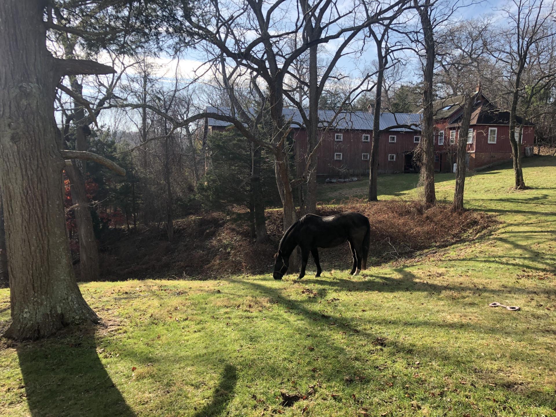 Single Family Landing Meadow  Suffolk County, NY 11787, MLS-873824-27