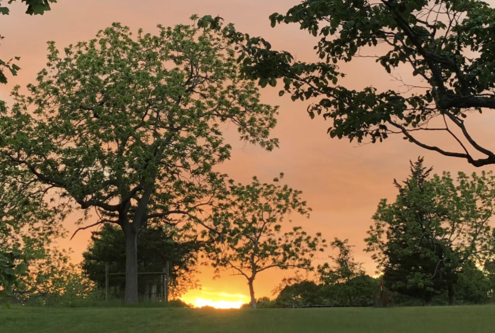 Single Family Landing Meadow  Suffolk County, NY 11787, MLS-873824-36