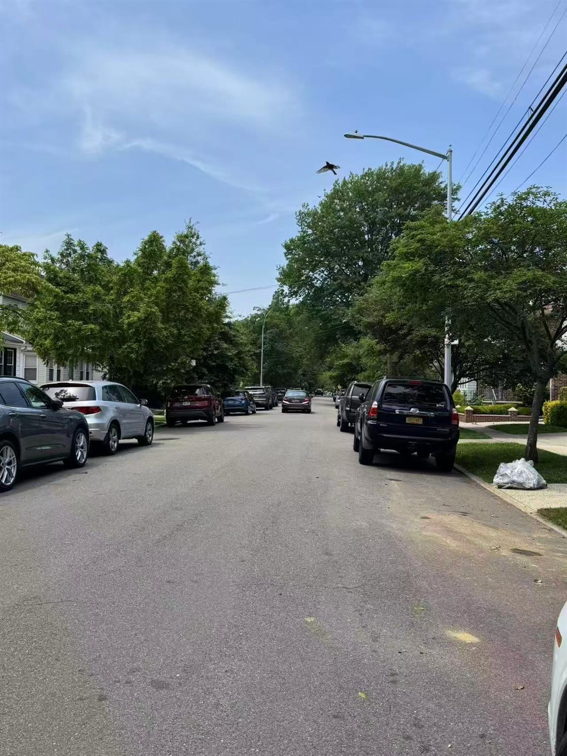 Single Family Kessel  Queens, NY 11375, MLS-873847-2