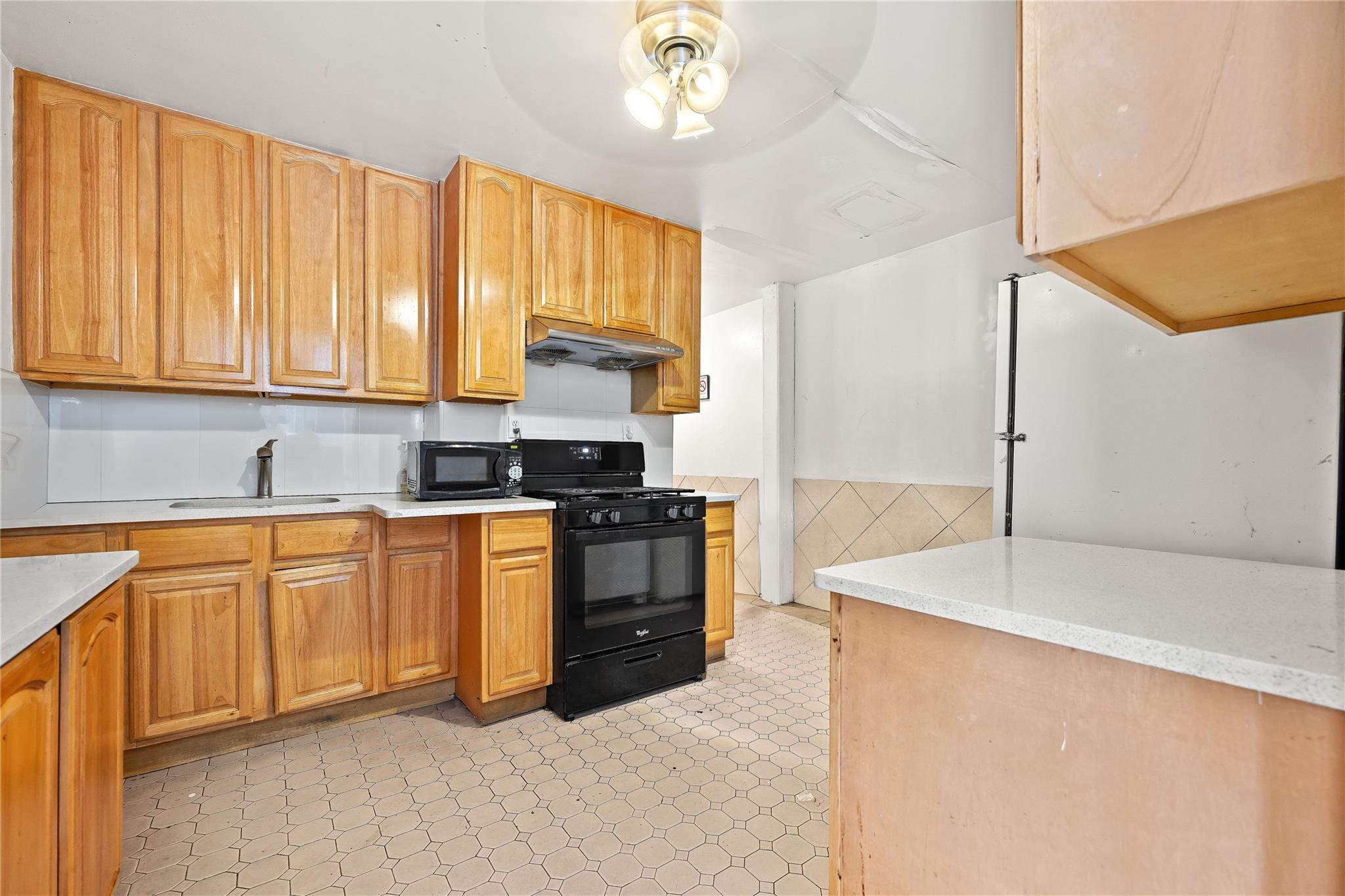 Single Family Elbertson  Queens, NY 11373, MLS-873862-11