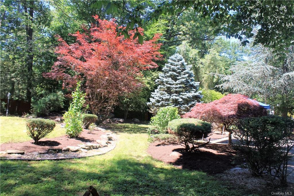 Single Family Buena Vista  Rockland County, NY 10956, MLS-873895-4