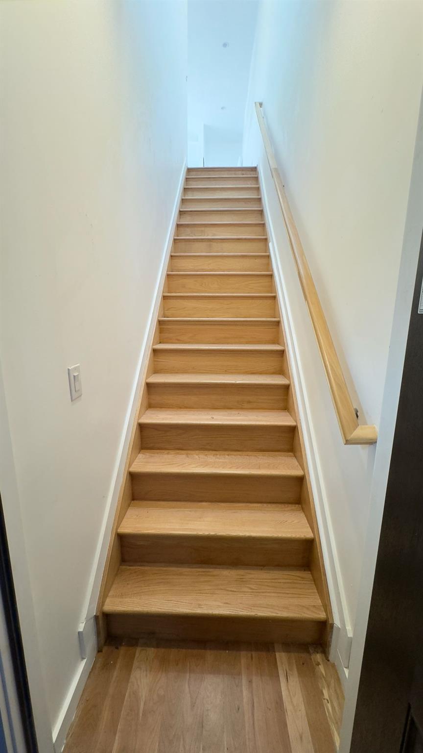 Single Family Radde  Brooklyn, NY 11233, MLS-873905-13