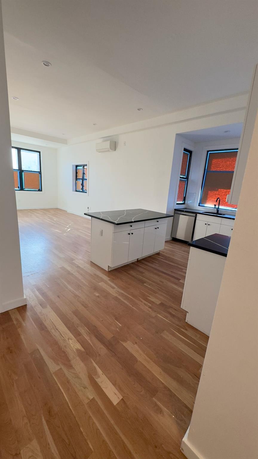 Single Family Radde  Brooklyn, NY 11233, MLS-873905-20