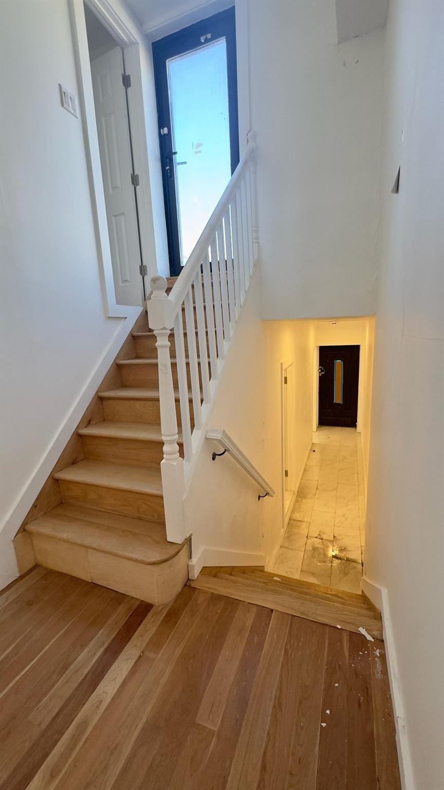 Single Family Radde  Brooklyn, NY 11233, MLS-873905-25