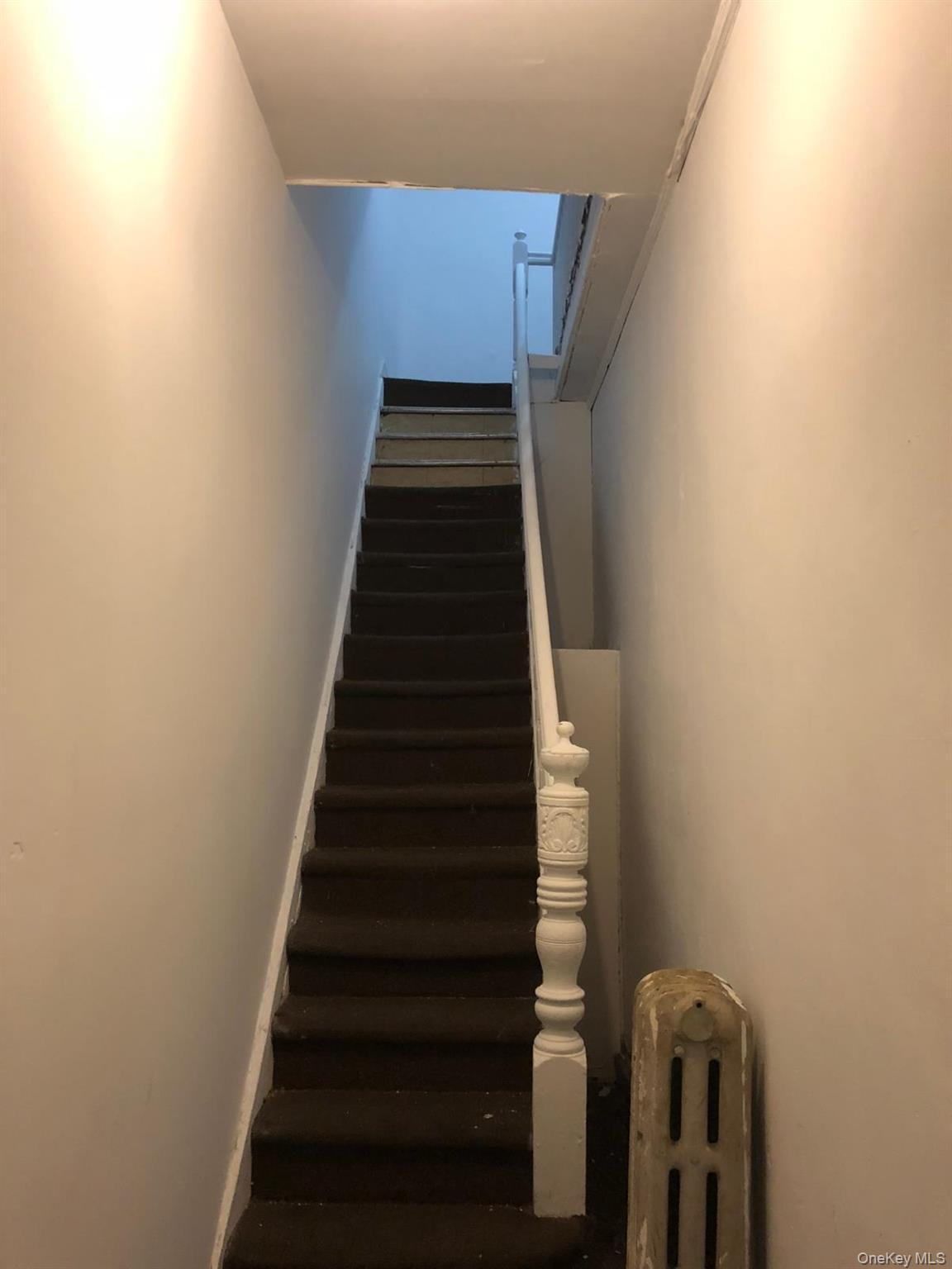 Single Family Sutter  Brooklyn, NY 11208, MLS-873927-48