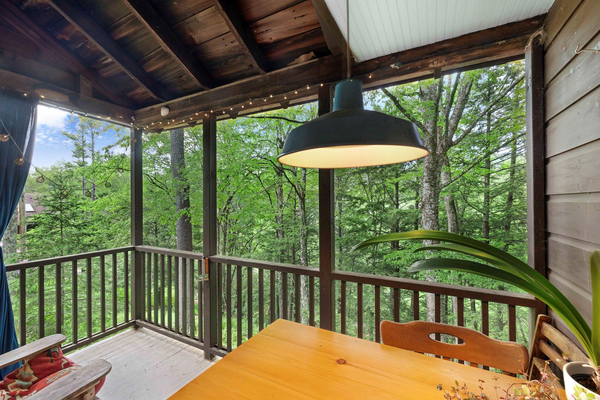 Single Family Ames-bott Bridge  Sullivan County, NY 12758, MLS-873972-33