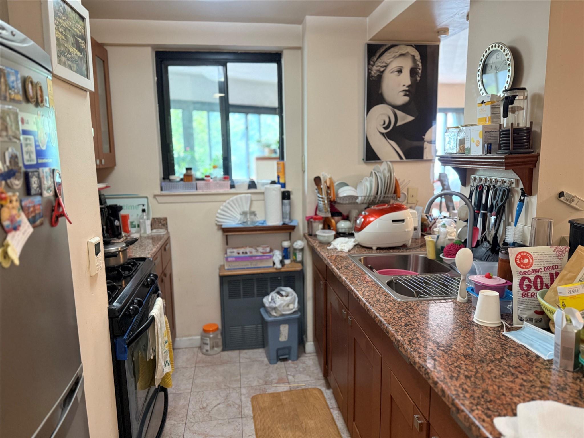 Condo 41 Queens, NY 11373, MLS-874023-14