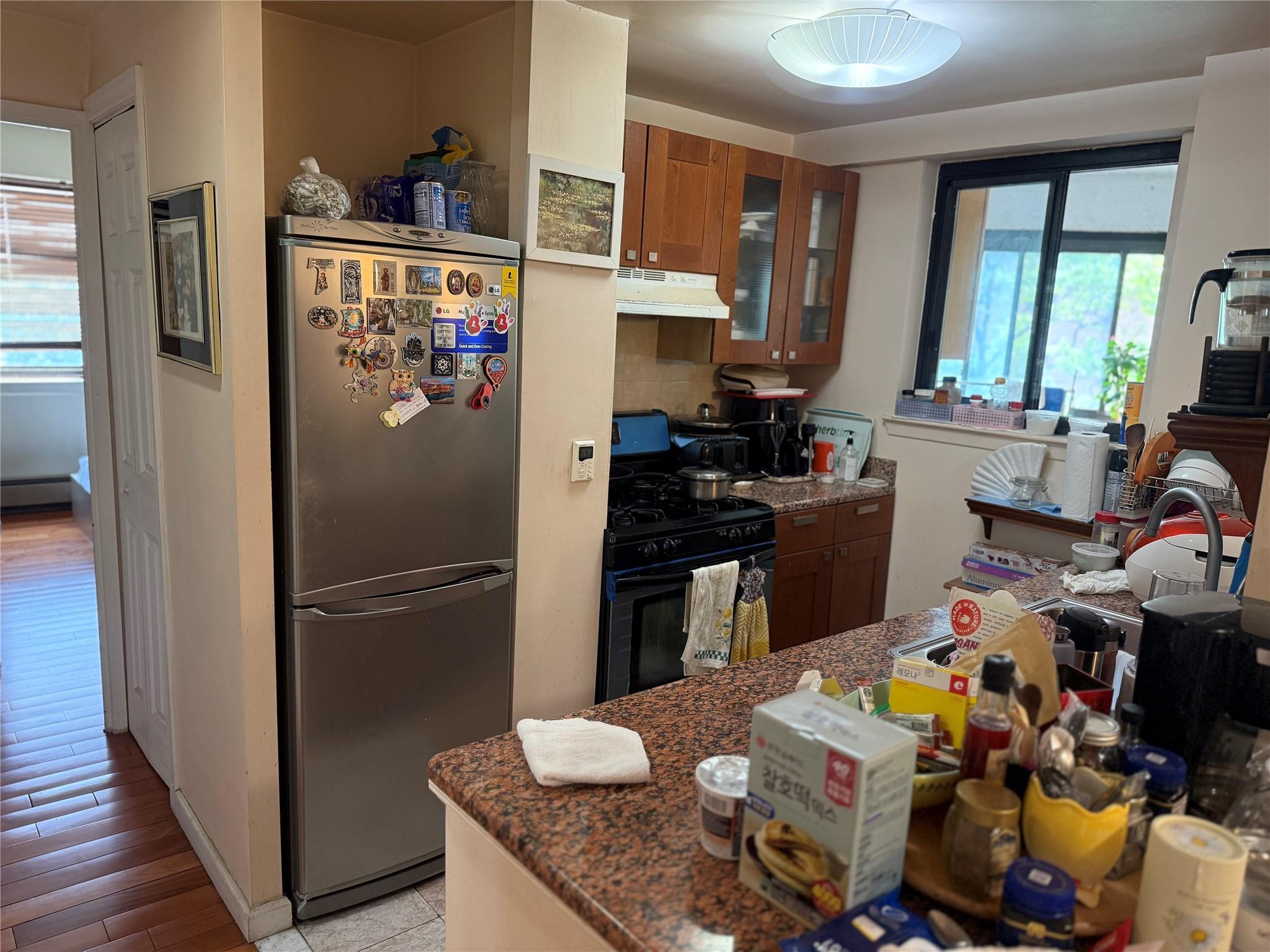 Condo 41 Queens, NY 11373, MLS-874023-3