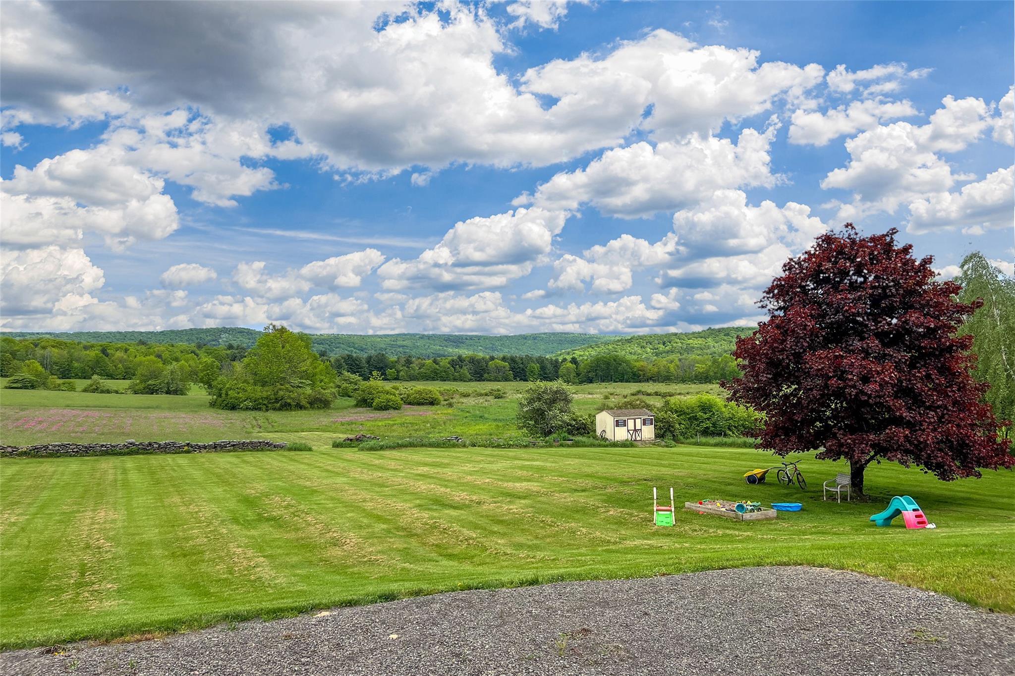 Single Family Wilbur Hill  Out Of Area, NY 13849, MLS-874027-31