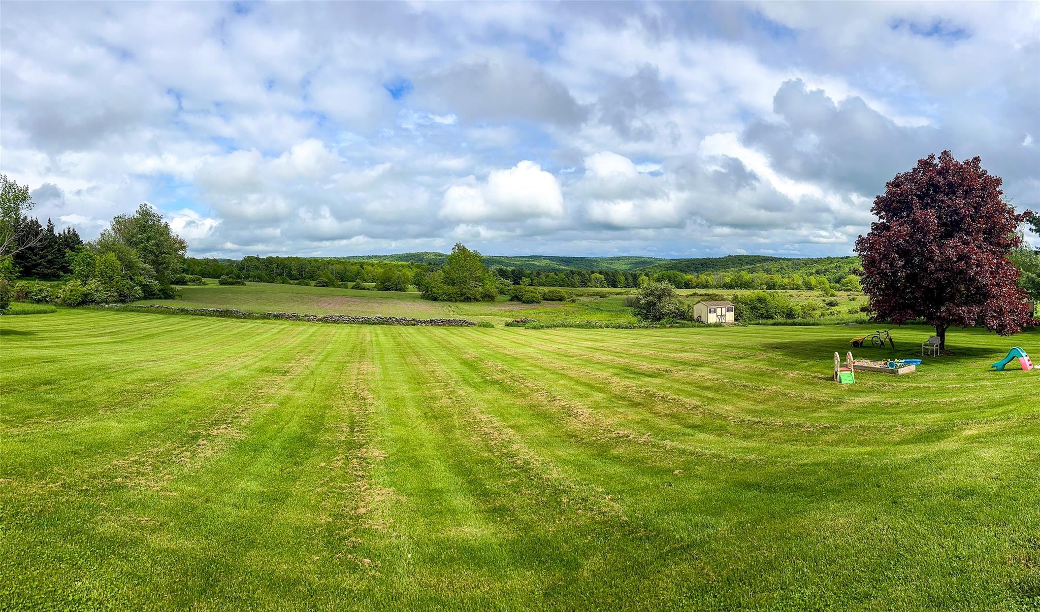 Single Family Wilbur Hill  Out Of Area, NY 13849, MLS-874027-38