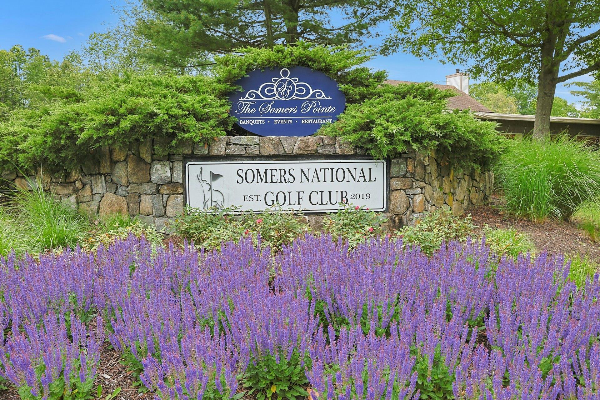 Condo Heritage  Westchester County, NY 10589, MLS-874144-33