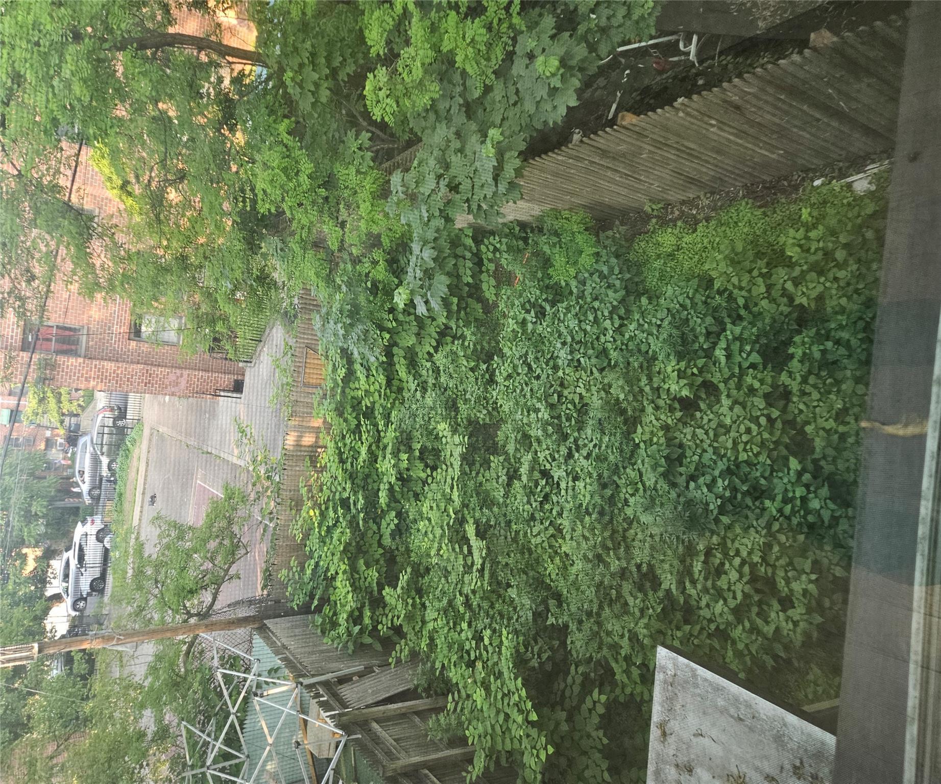 Single Family Milford  Brooklyn, NY 11208, MLS-874146-13