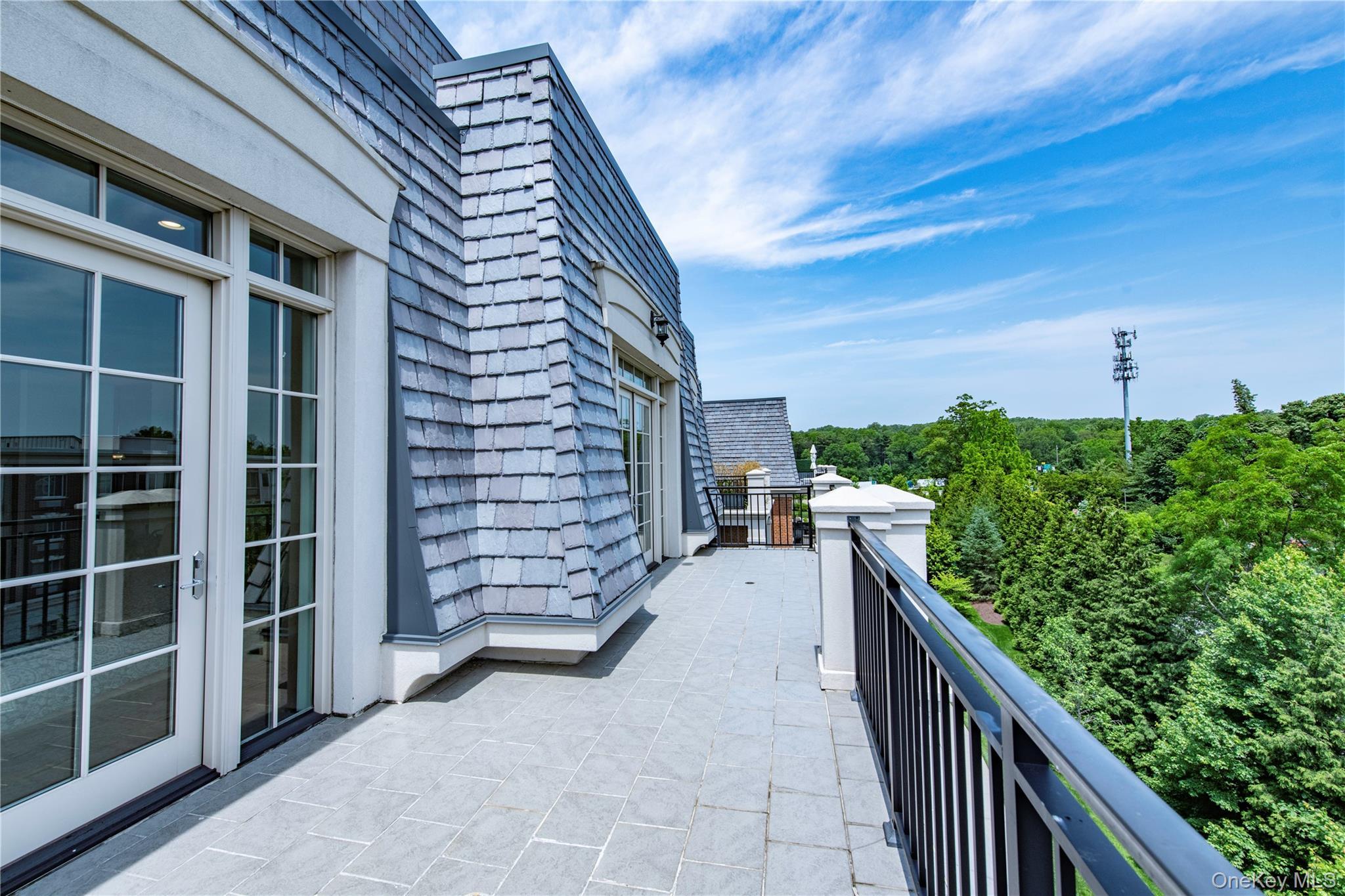 Condo Royal  Nassau County, NY 11040, MLS-874302-14