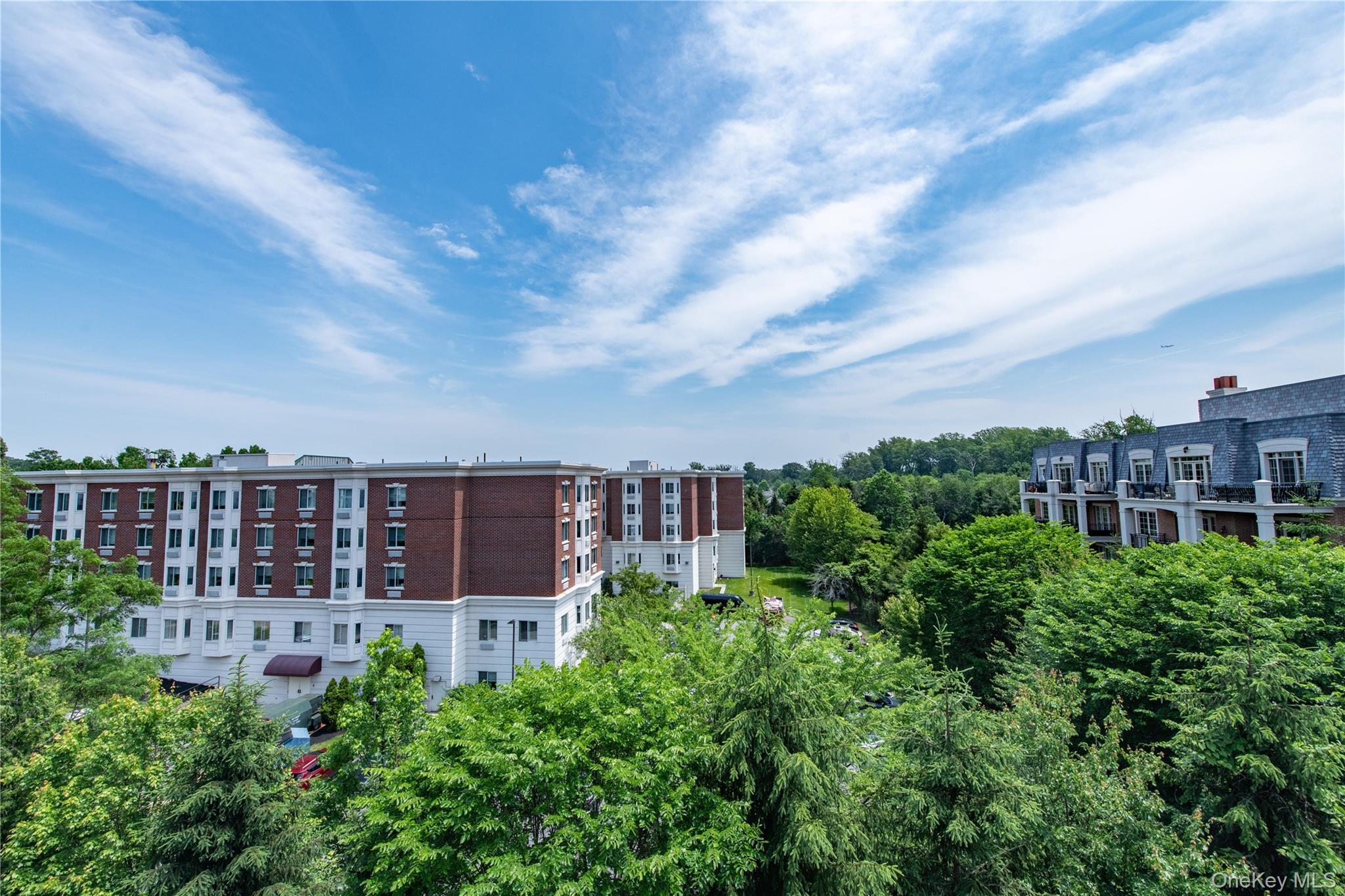 Condo Royal  Nassau County, NY 11040, MLS-874302-15