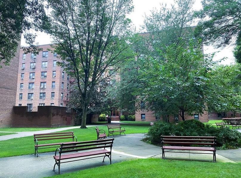 Coop 72  Queens, NY 11367, MLS-874354-16