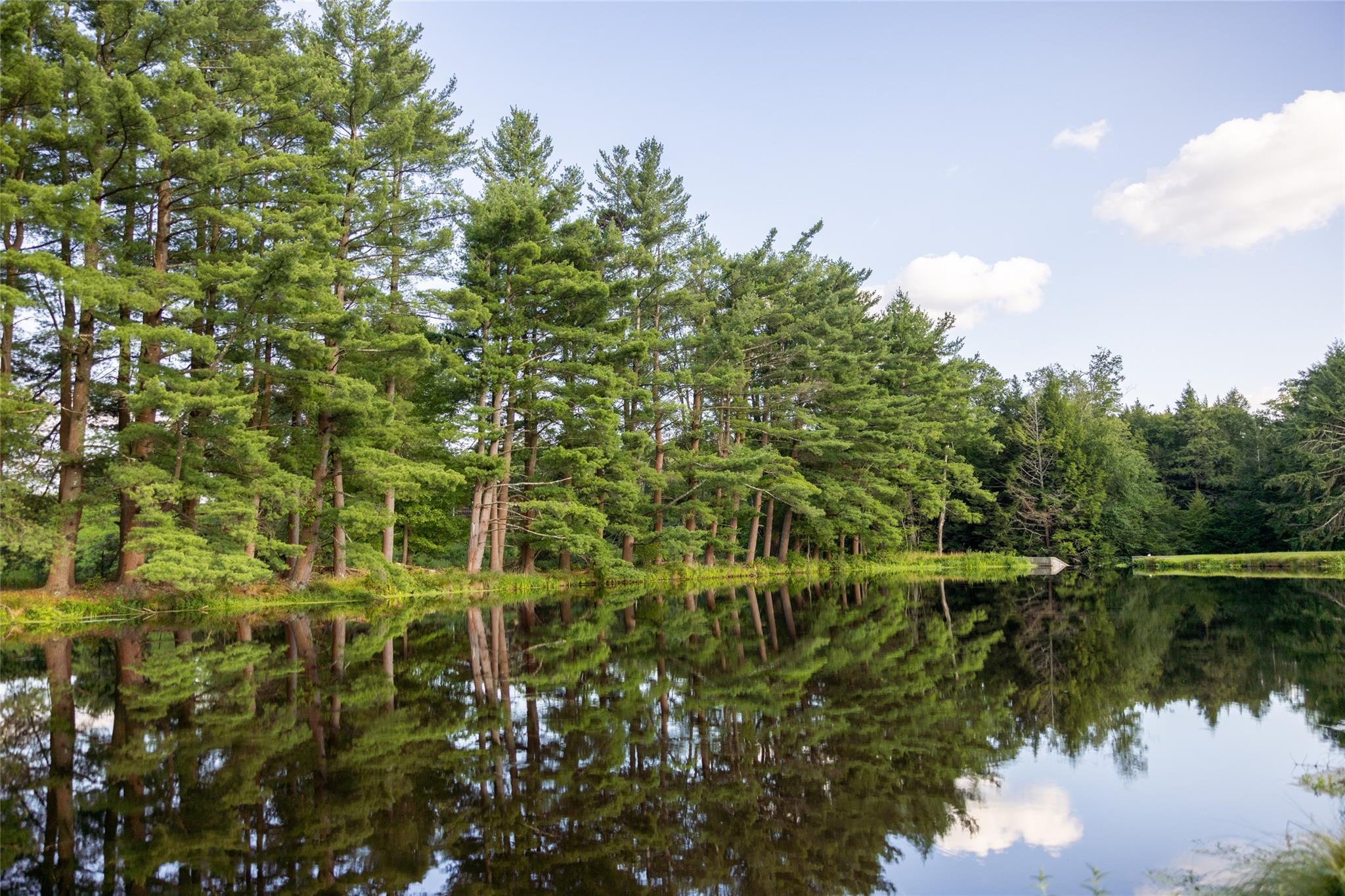 Single Family Crumley Van Vactor  Sullivan County, NY 12734, MLS-874421-48