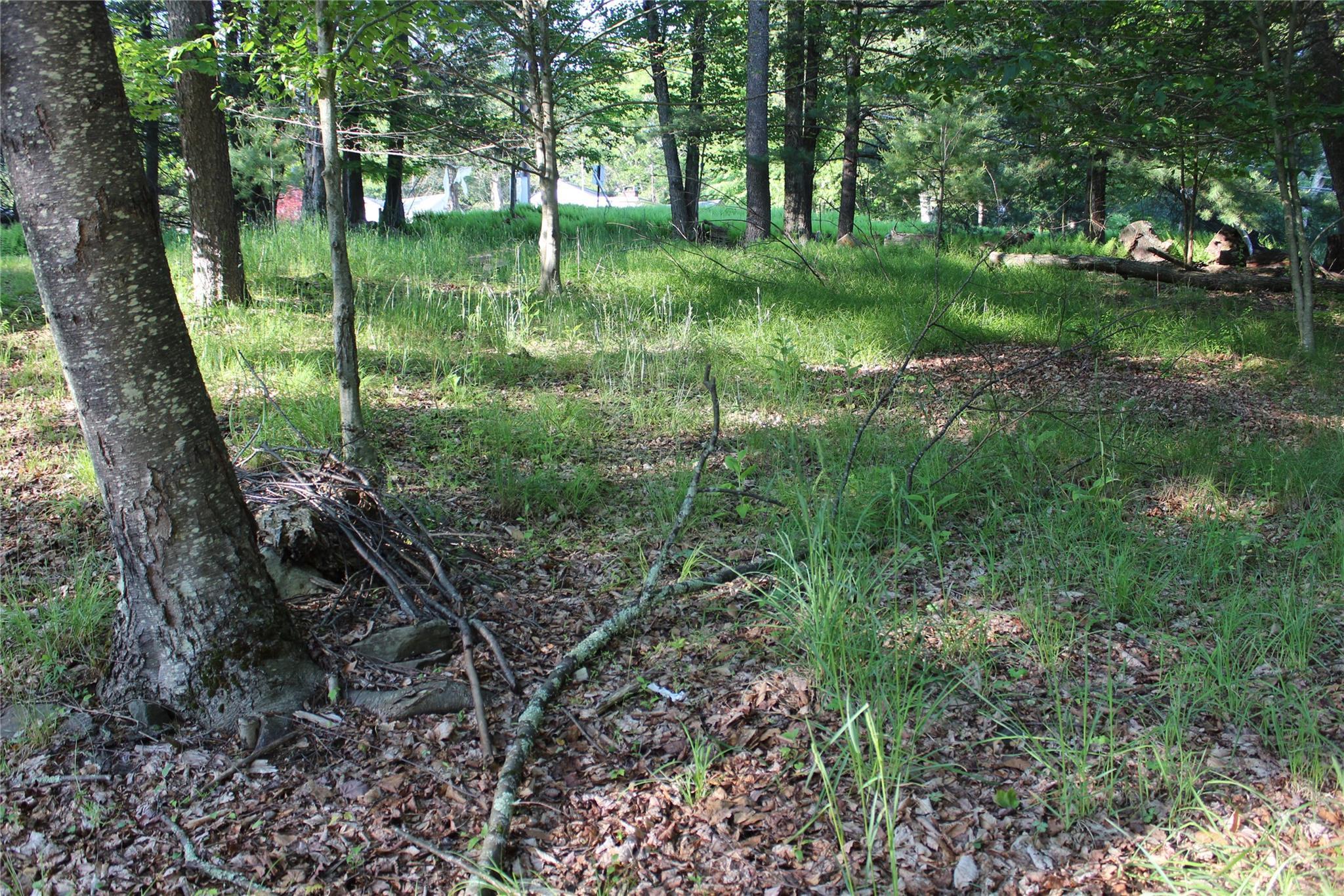 Single Family Maple  Sullivan County, NY 12762, MLS-874439-33