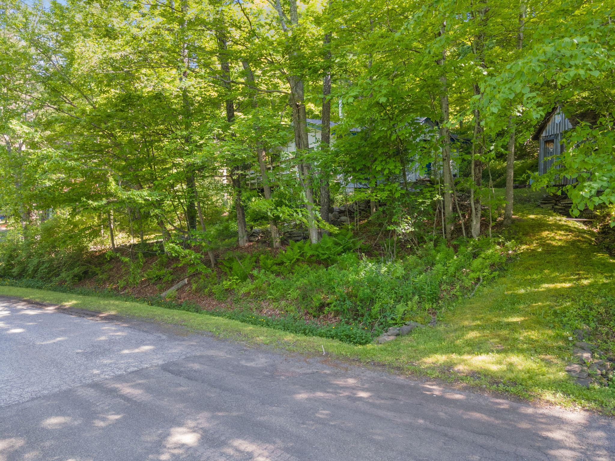 Single Family Hunter  Greene County, NY 12442, MLS-874644-23