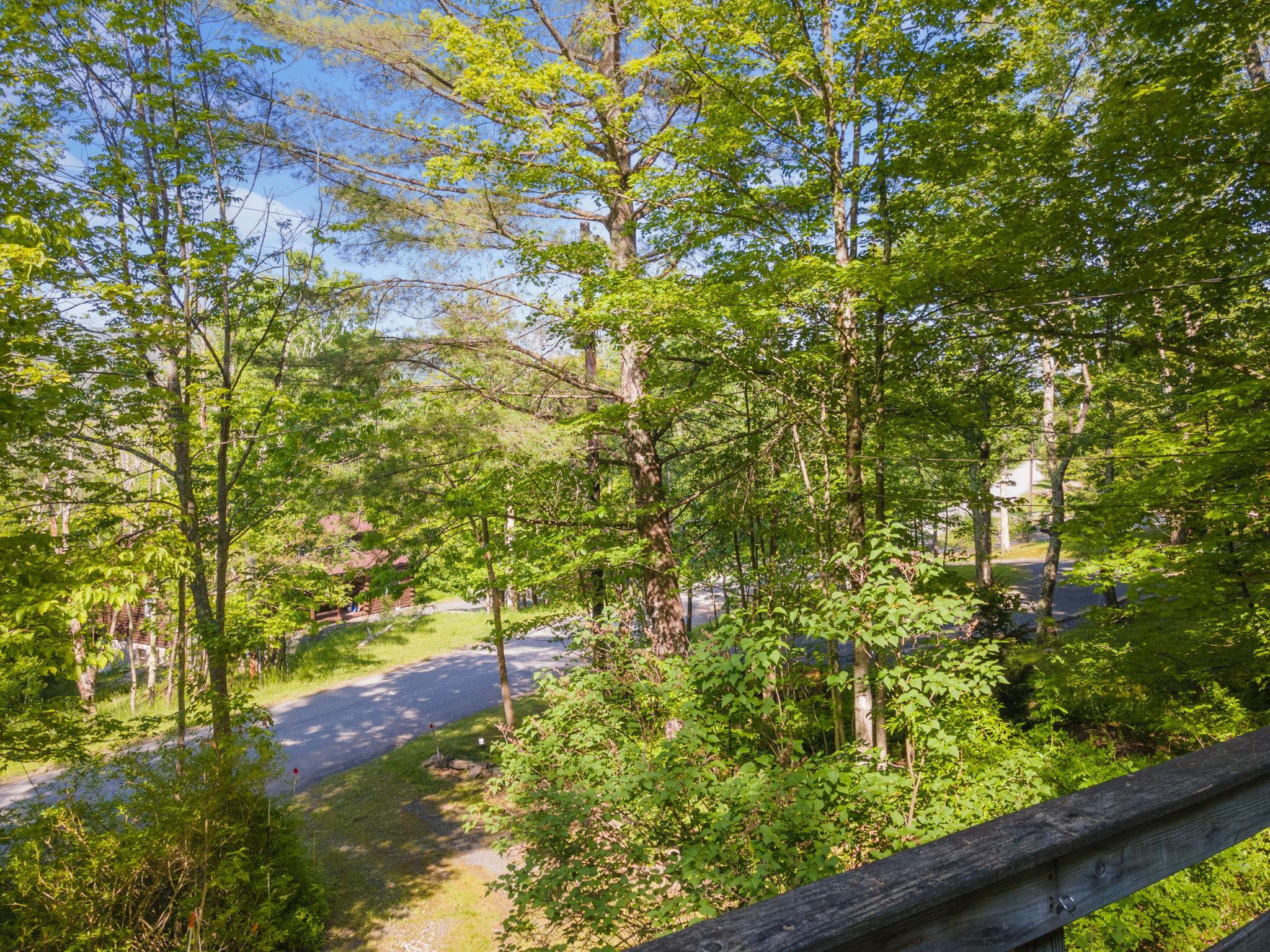 Single Family Hunter  Greene County, NY 12442, MLS-874644-4