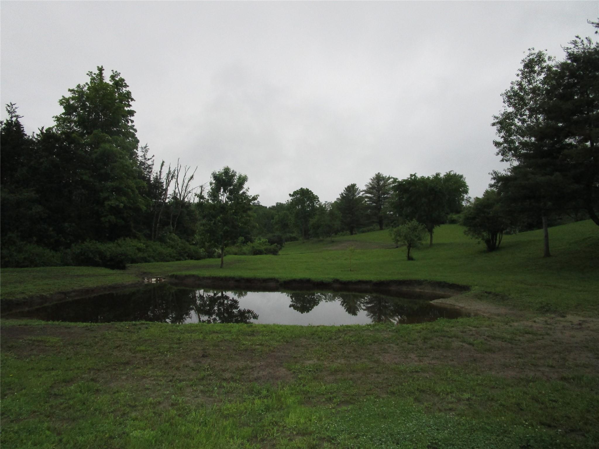 Single Family Adams  Greene County, NY 12051, MLS-874749-7