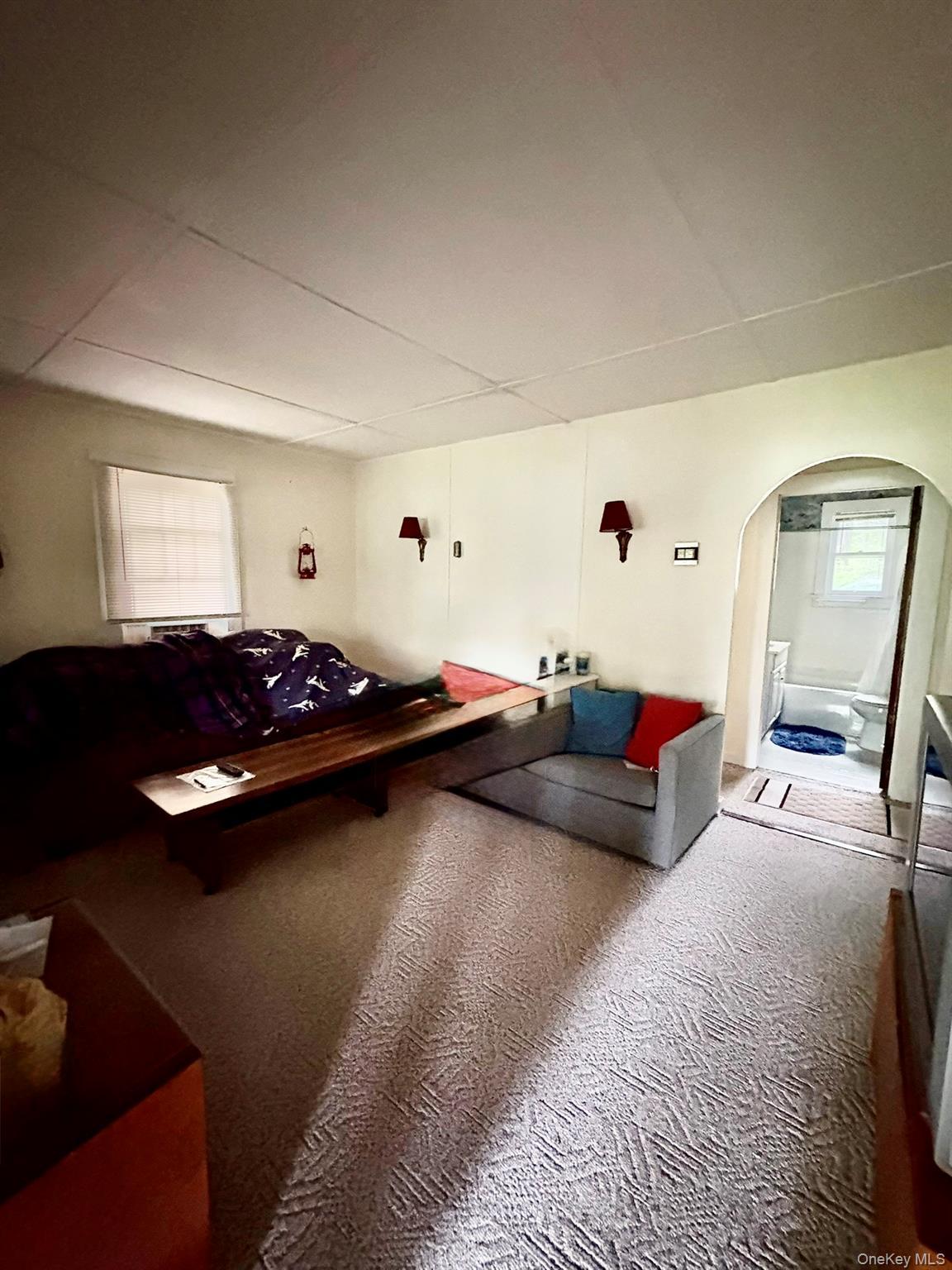 Single Family First Sullivan County, NY 12701, MLS-874764-19