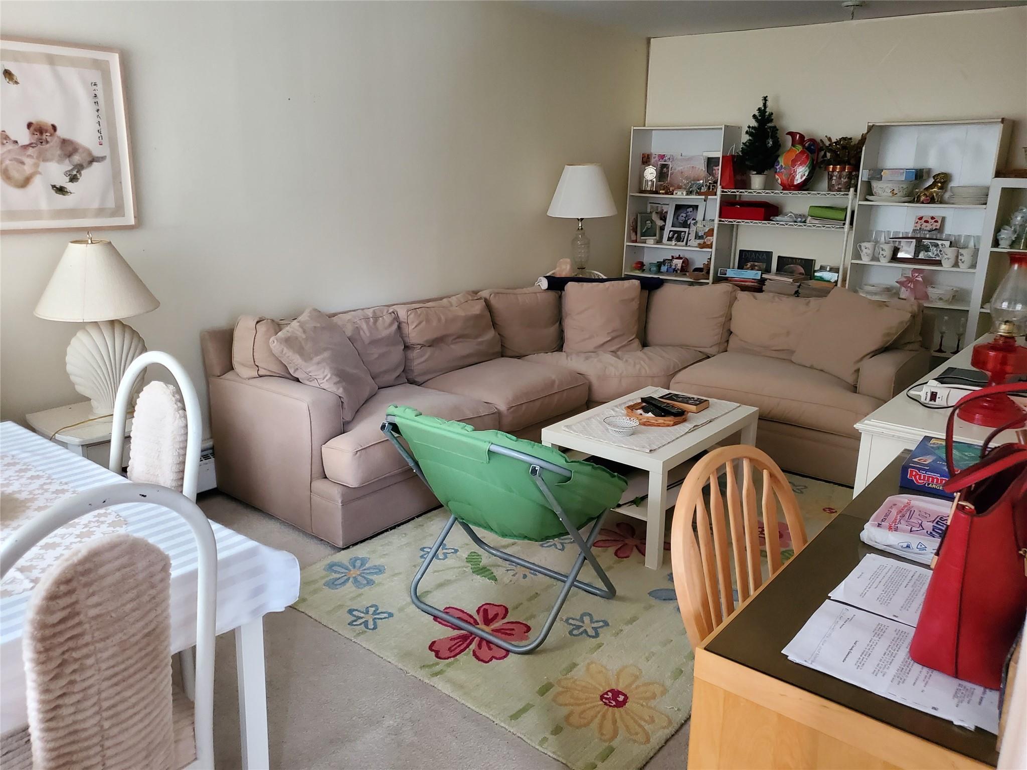 Single Family Peck  Queens, NY 11355, MLS-874915-2
