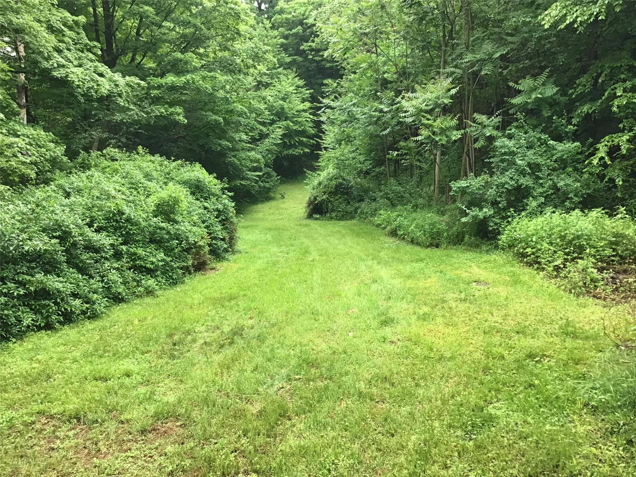 Single Family Route 199 Dutchess County, NY 12581, MLS-874956-15