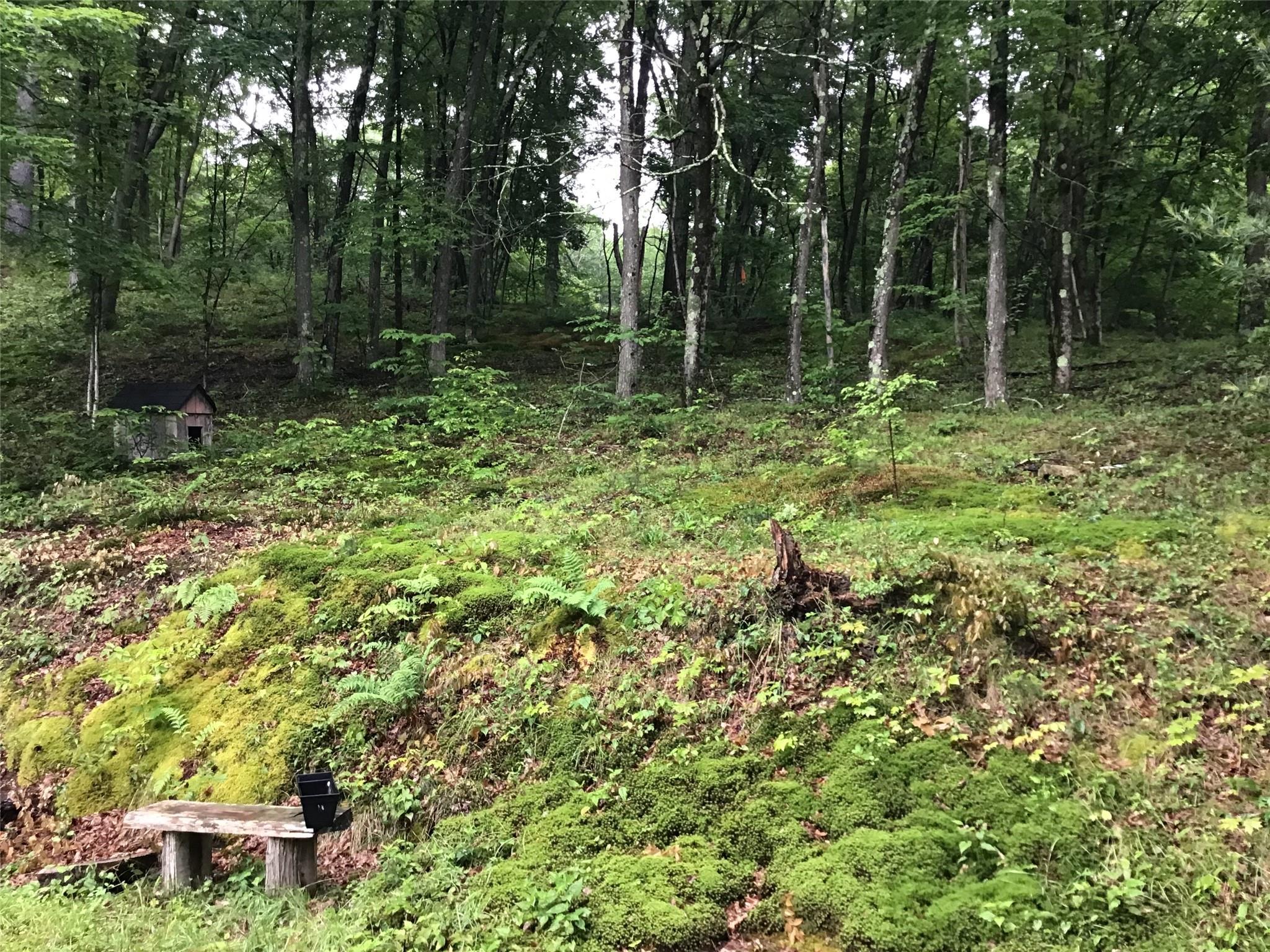 Single Family Route 199 Dutchess County, NY 12581, MLS-874956-19