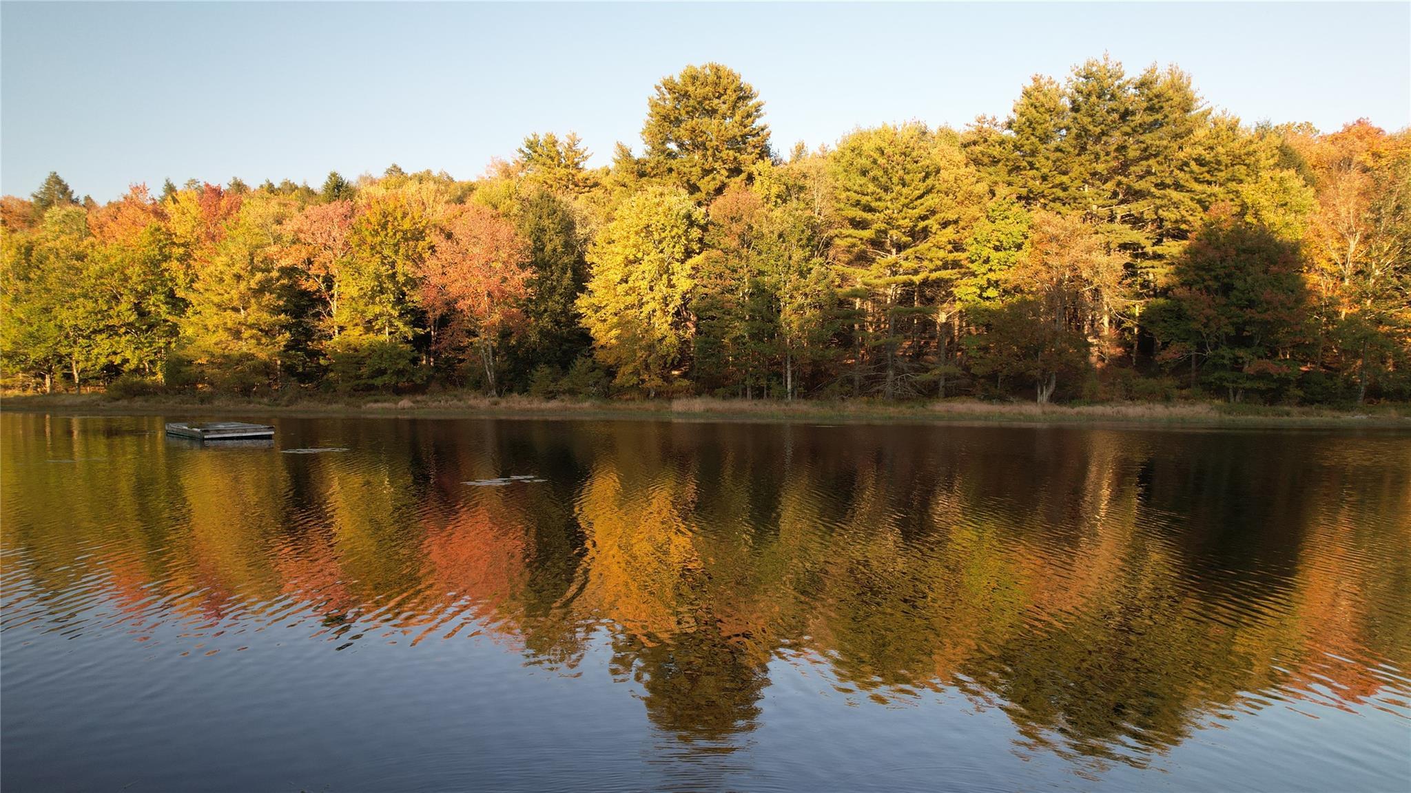 Single Family John Bishop  Sullivan County, NY 12783, MLS-875006-18