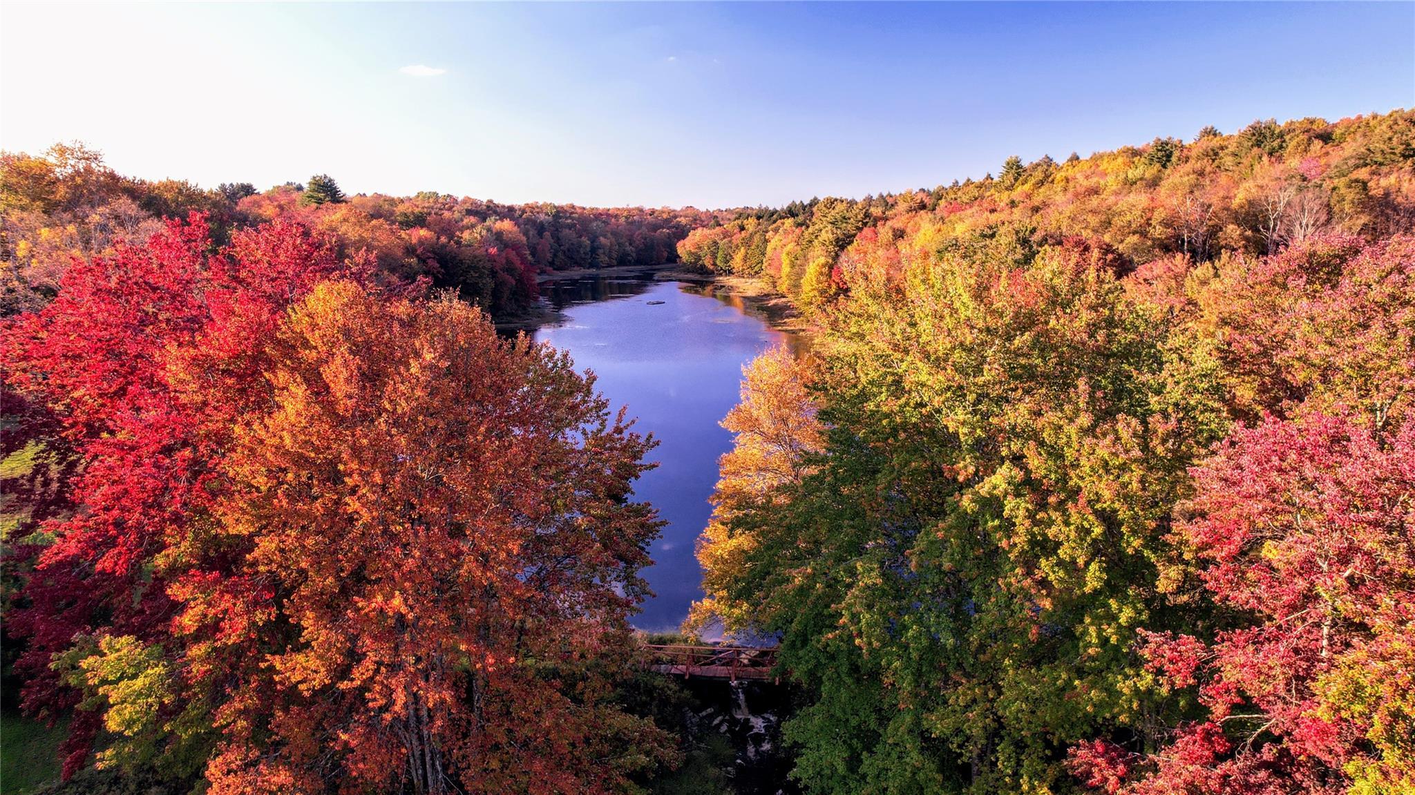 Single Family John Bishop  Sullivan County, NY 12783, MLS-875006-2