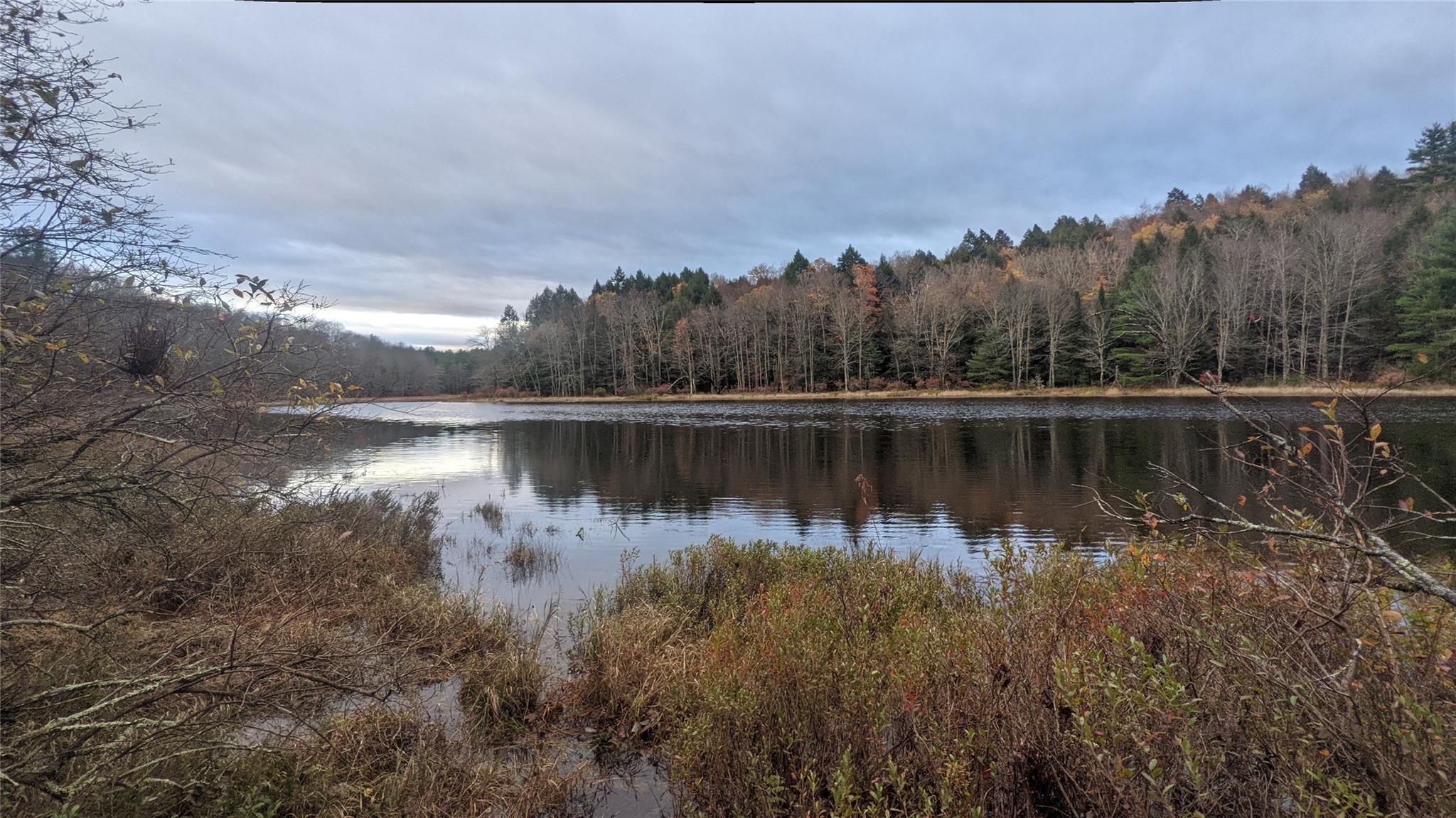 Single Family John Bishop  Sullivan County, NY 12783, MLS-875006-26