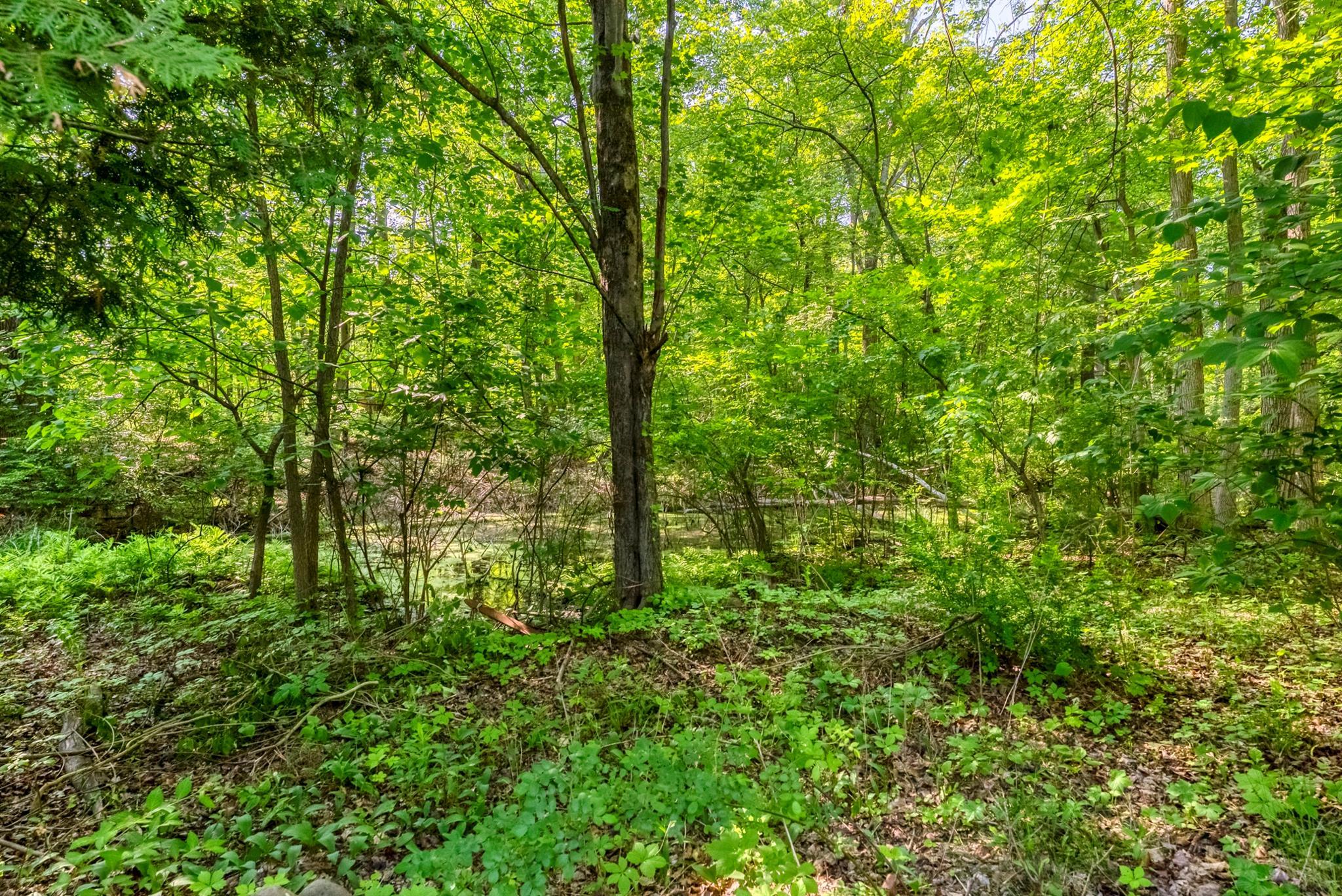 Single Family Route 212  Ulster County, NY 12477, MLS-875058-37