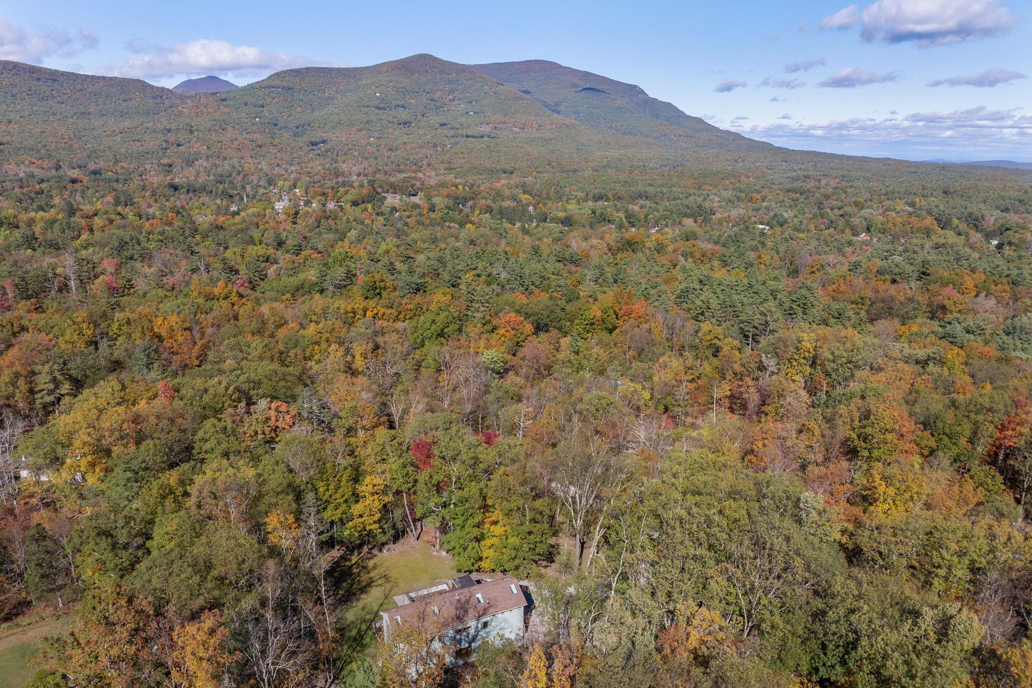 Single Family Old Wagon  Ulster County, NY 12498, MLS-875187-3